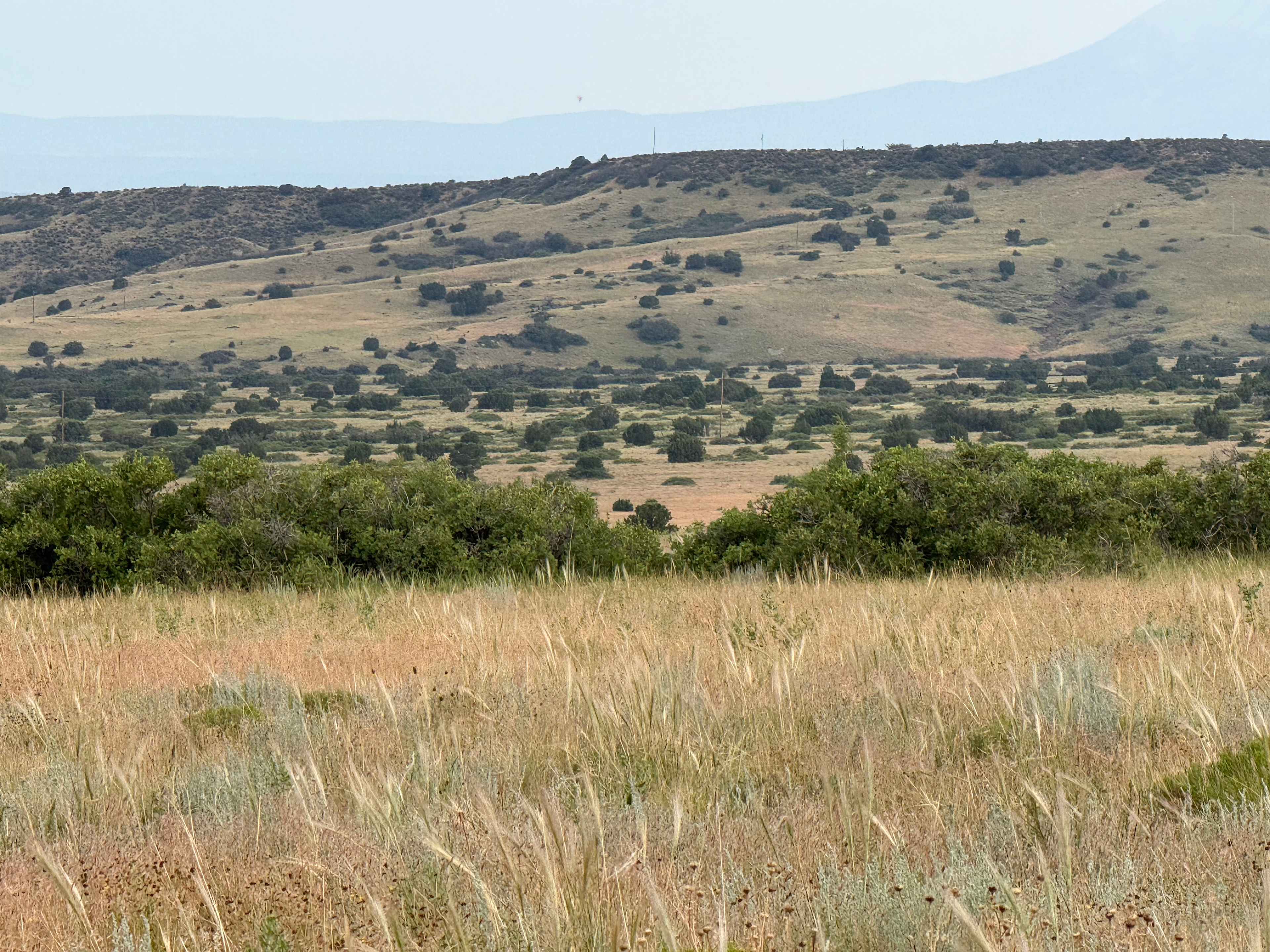Hummingbird Ranch