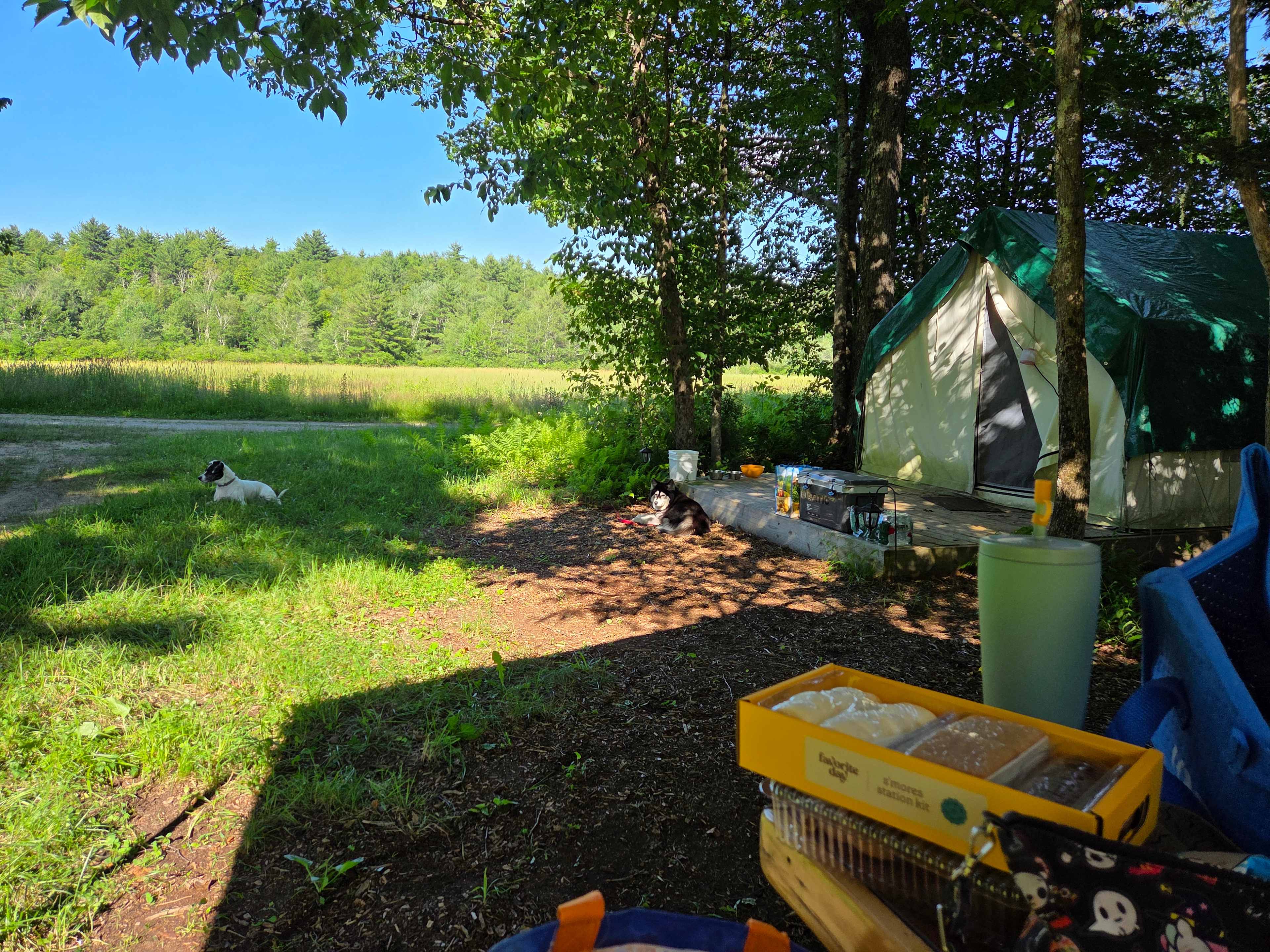 The campsite looking at the tent and Meadow from the picnic table