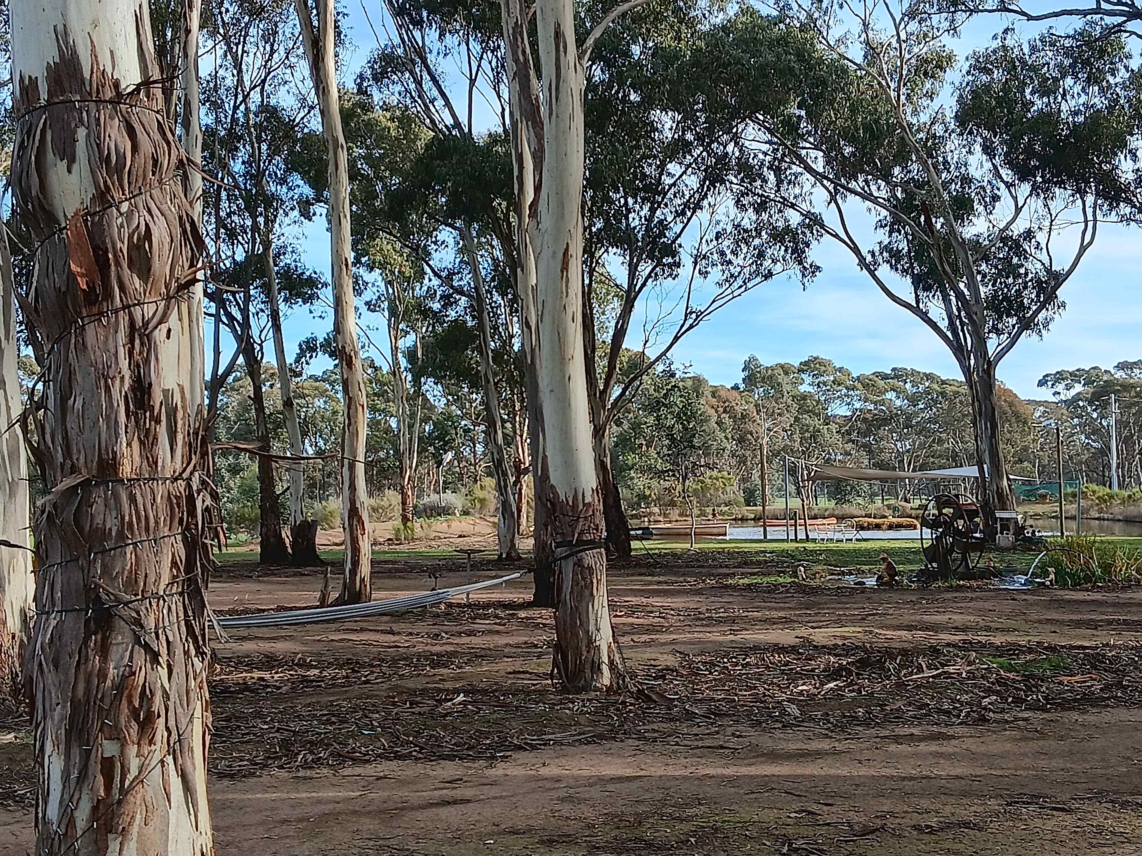 View toward dam