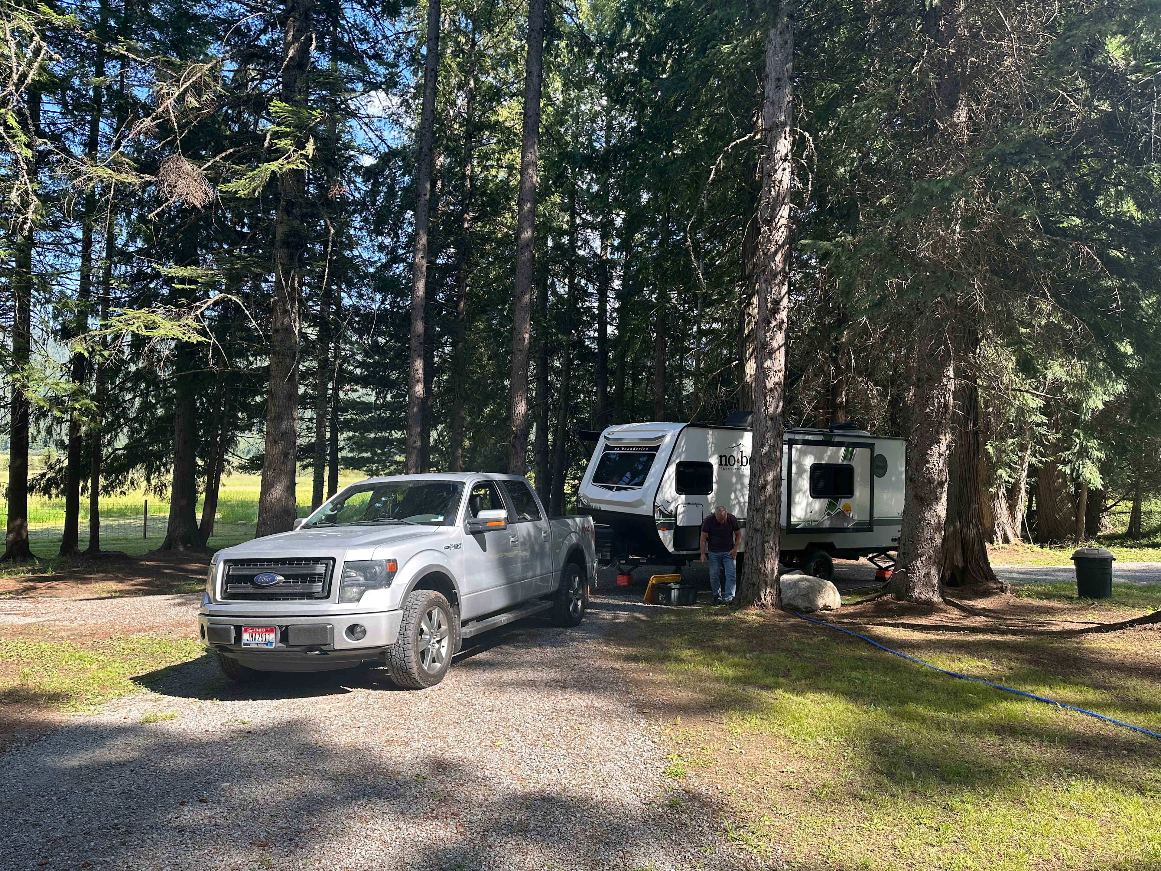 Under the Cedars