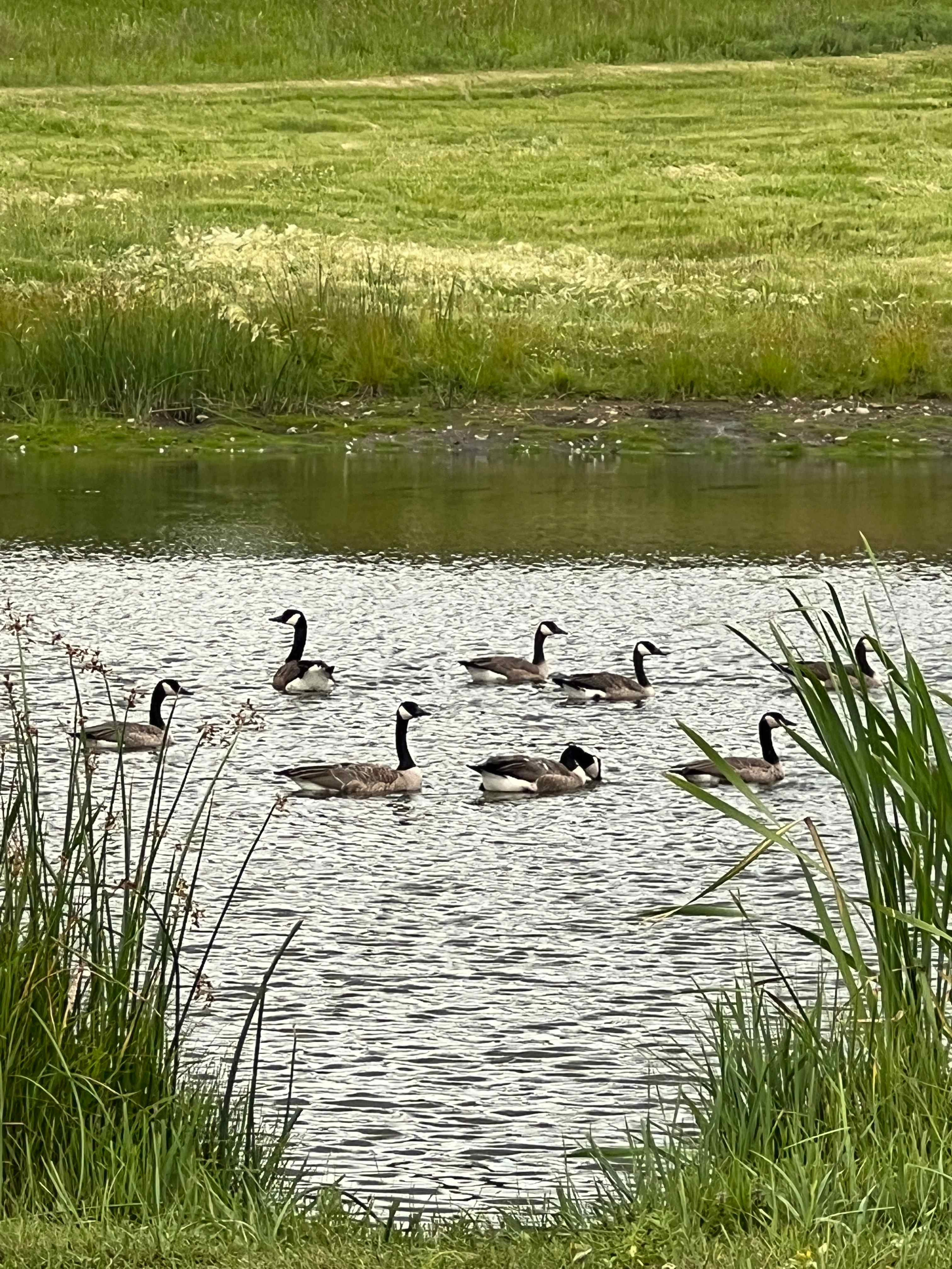 Custer Valley View RV Camp Spot