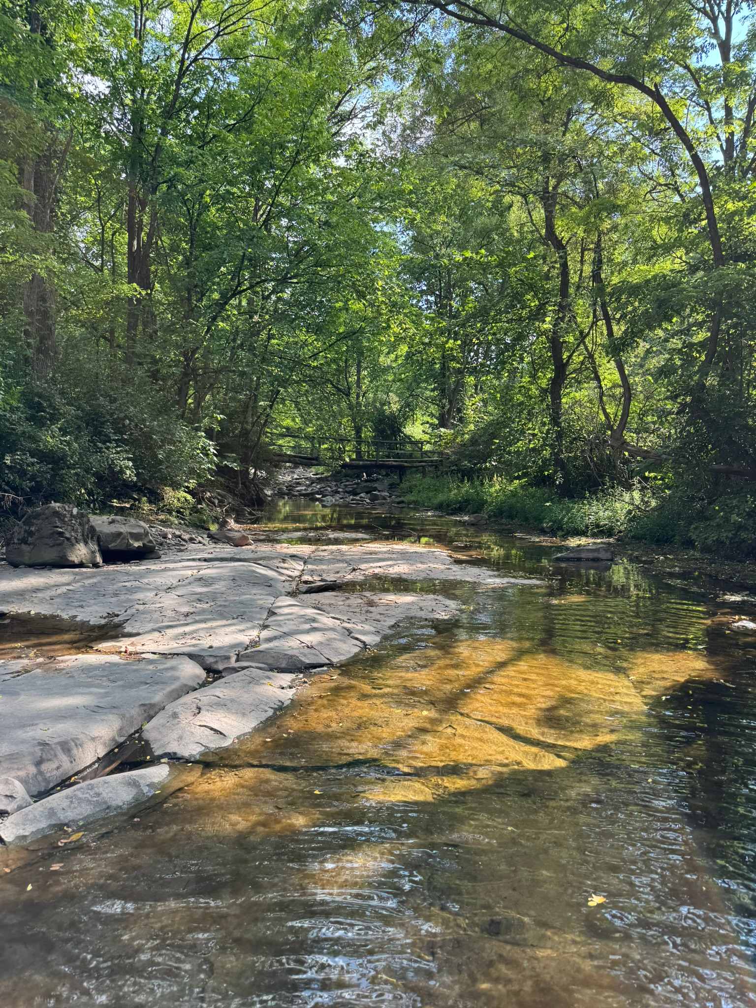 Locust Grove Waterfall