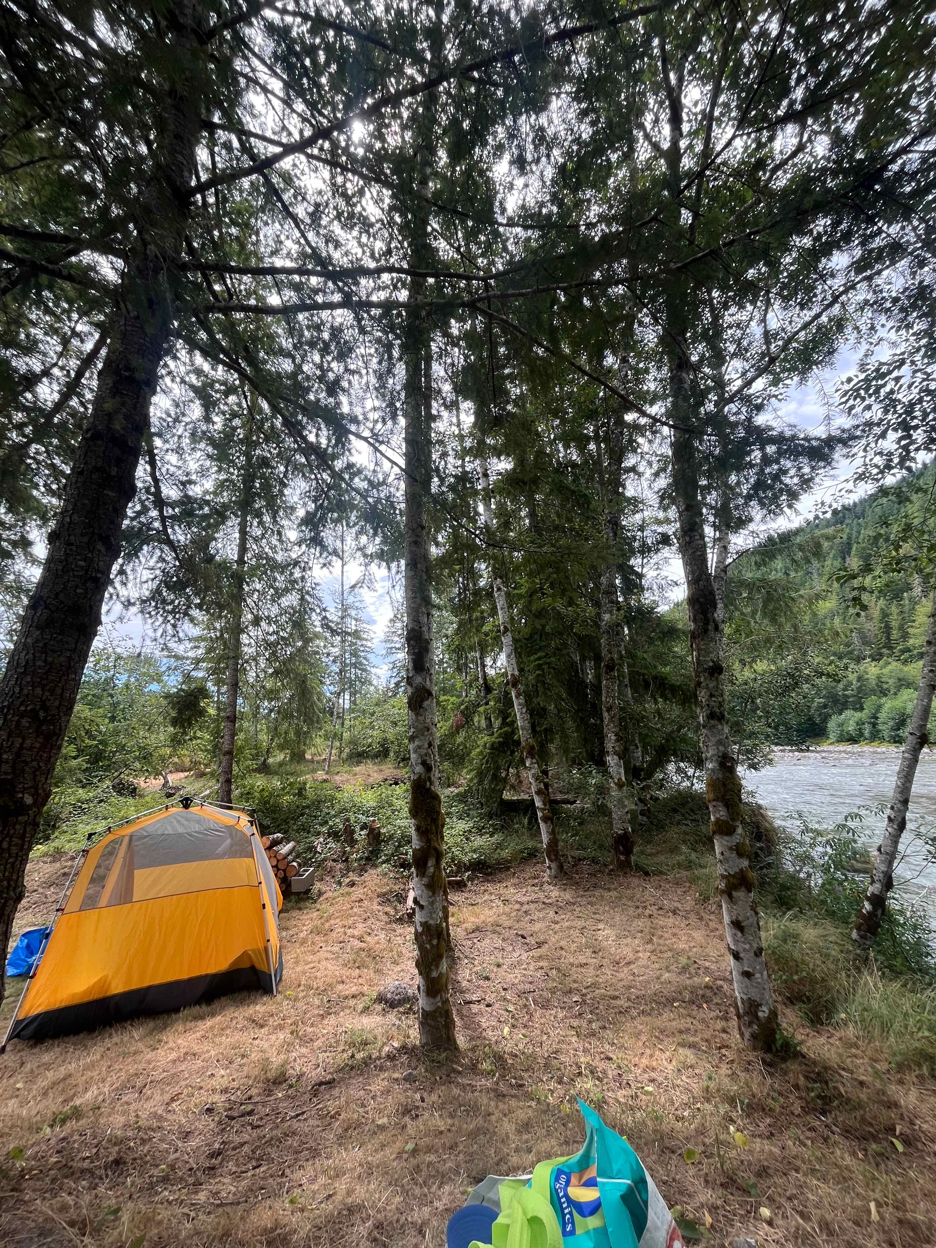 Site #1