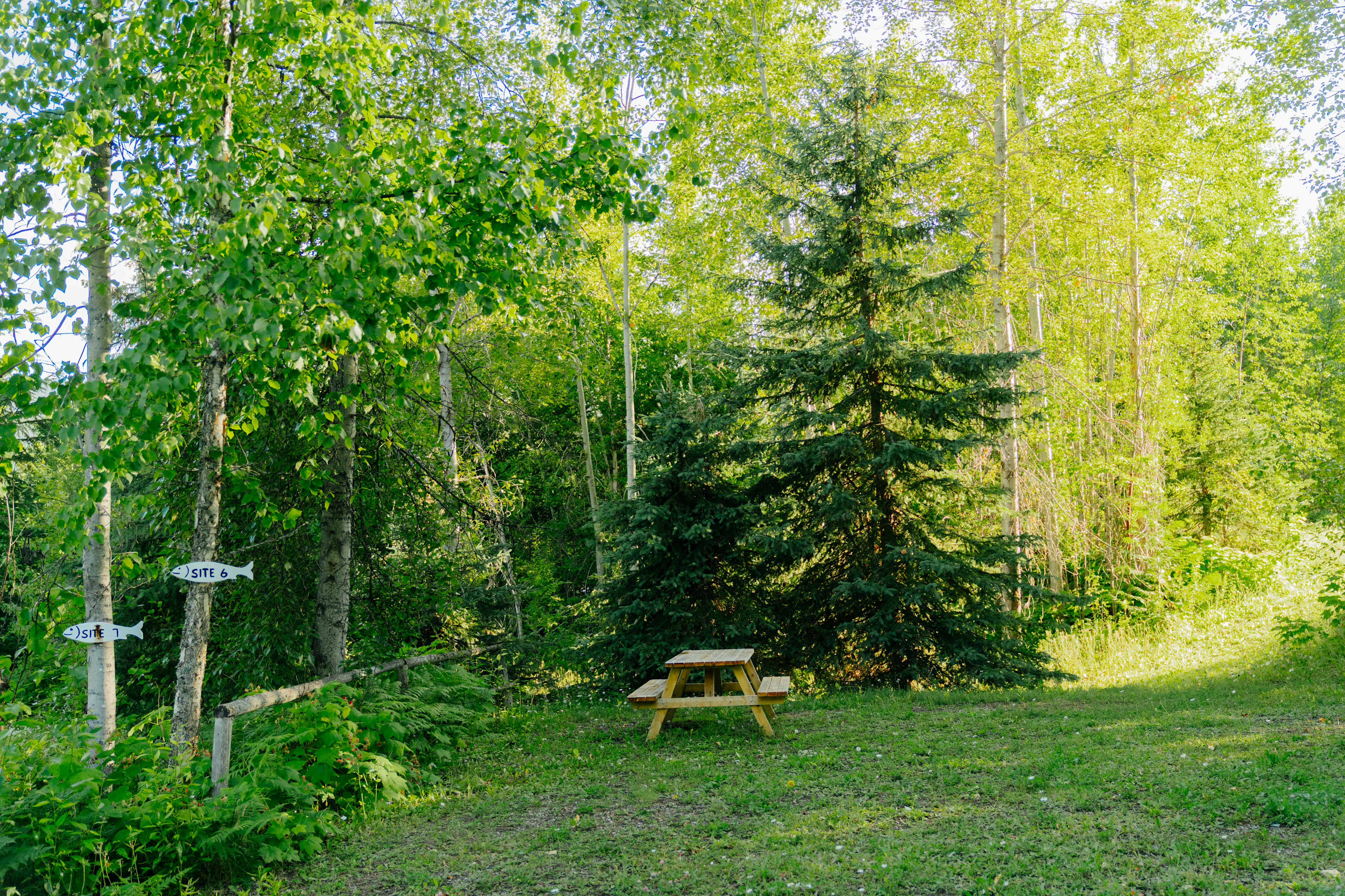 Herman Lake Wilderness Campground