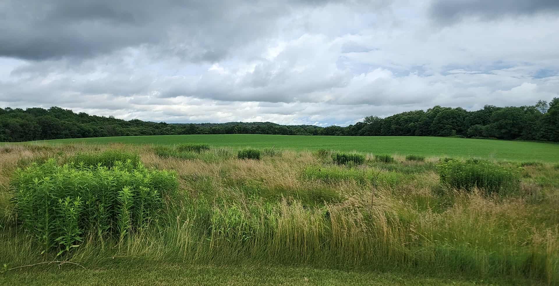 View from site 1