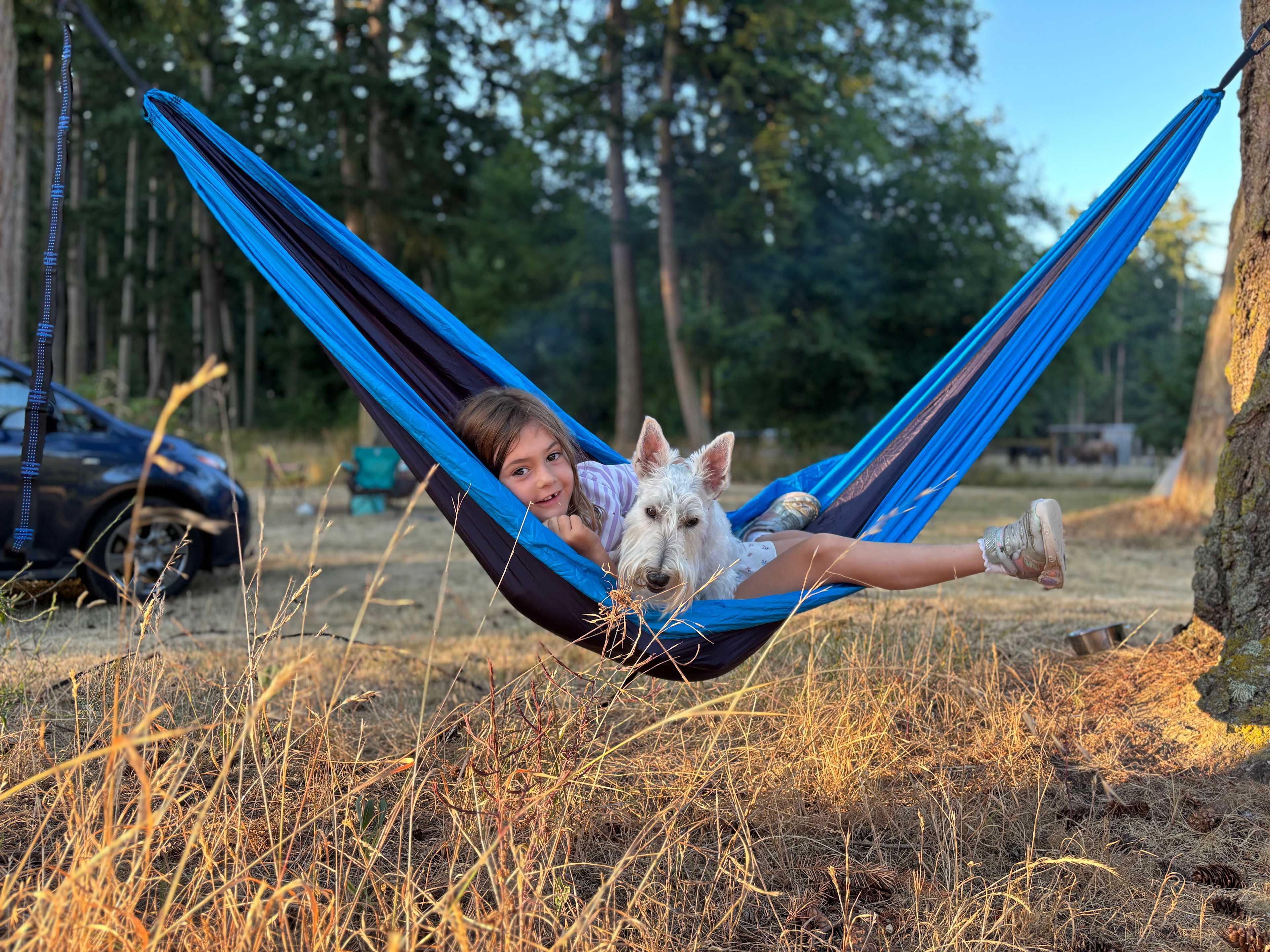 Trees well spaced for hammocks
