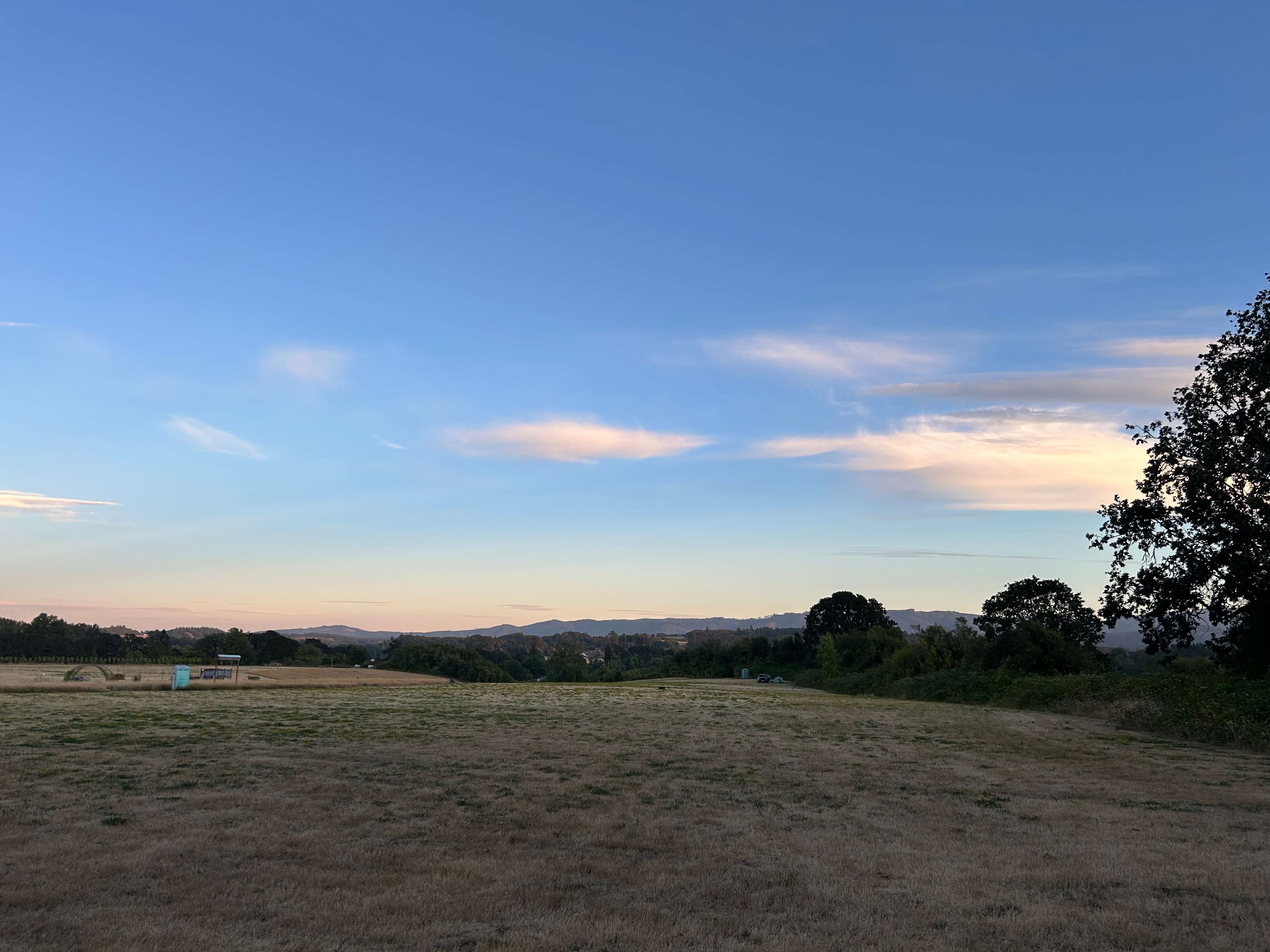 Roshambo ArtFarm