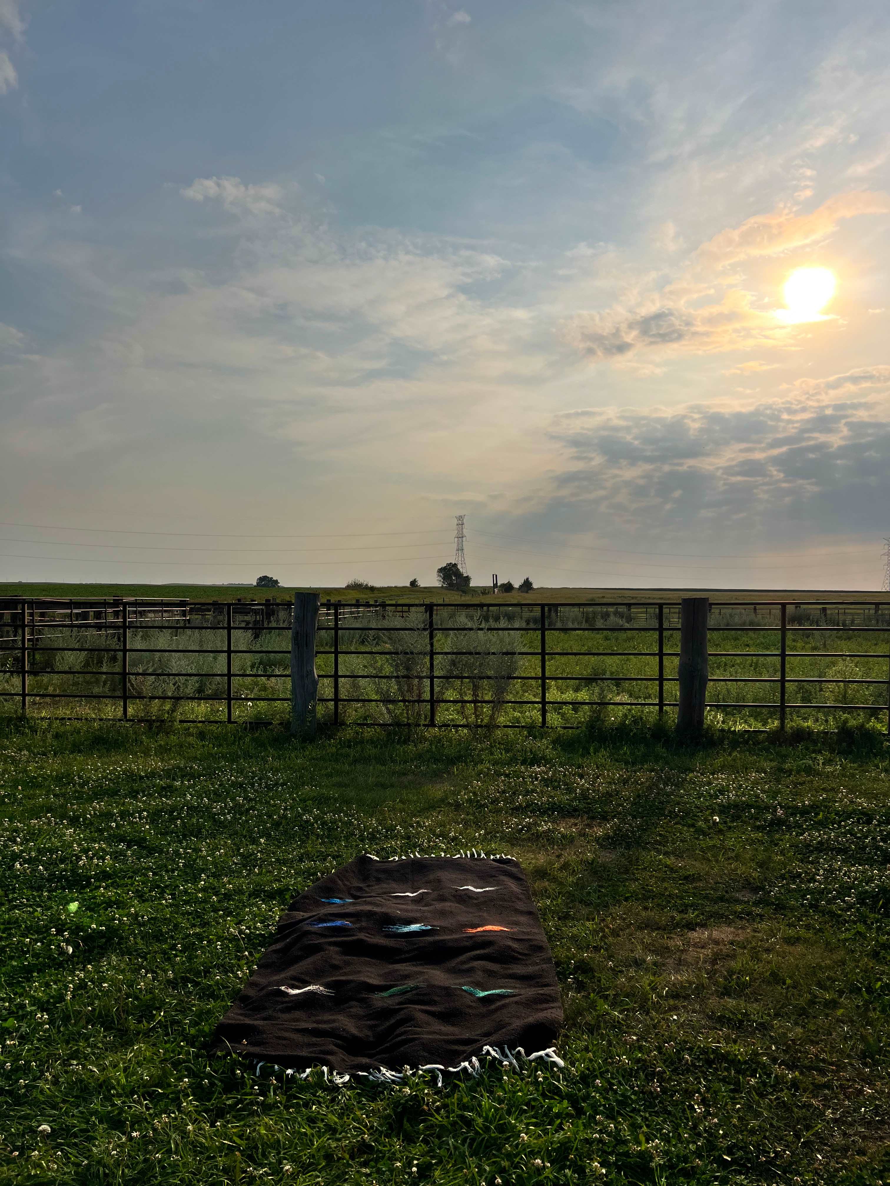 Diamond A Cattle Ranch