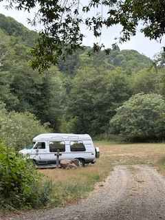 Site #1