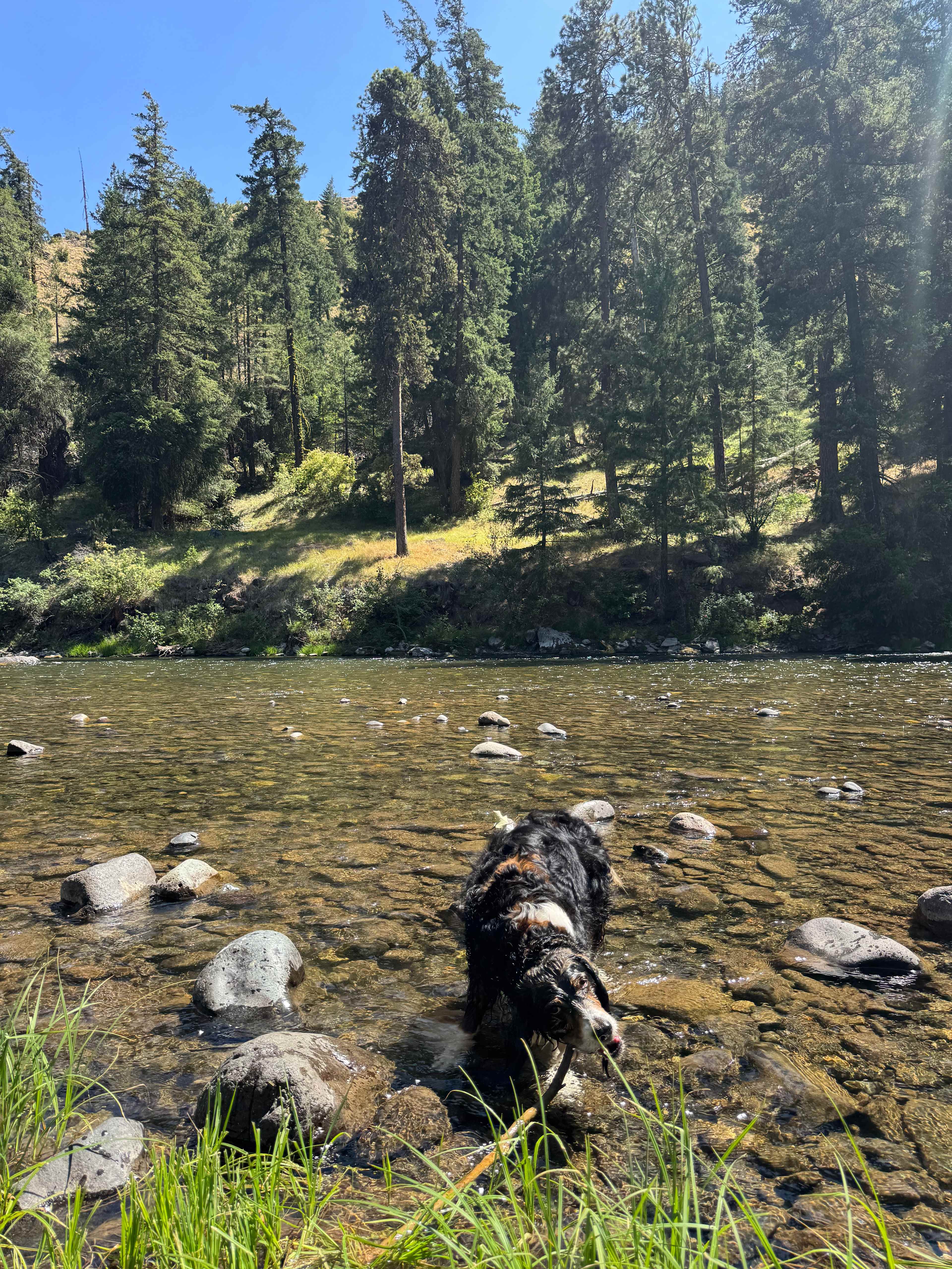 Nest Well On Naches