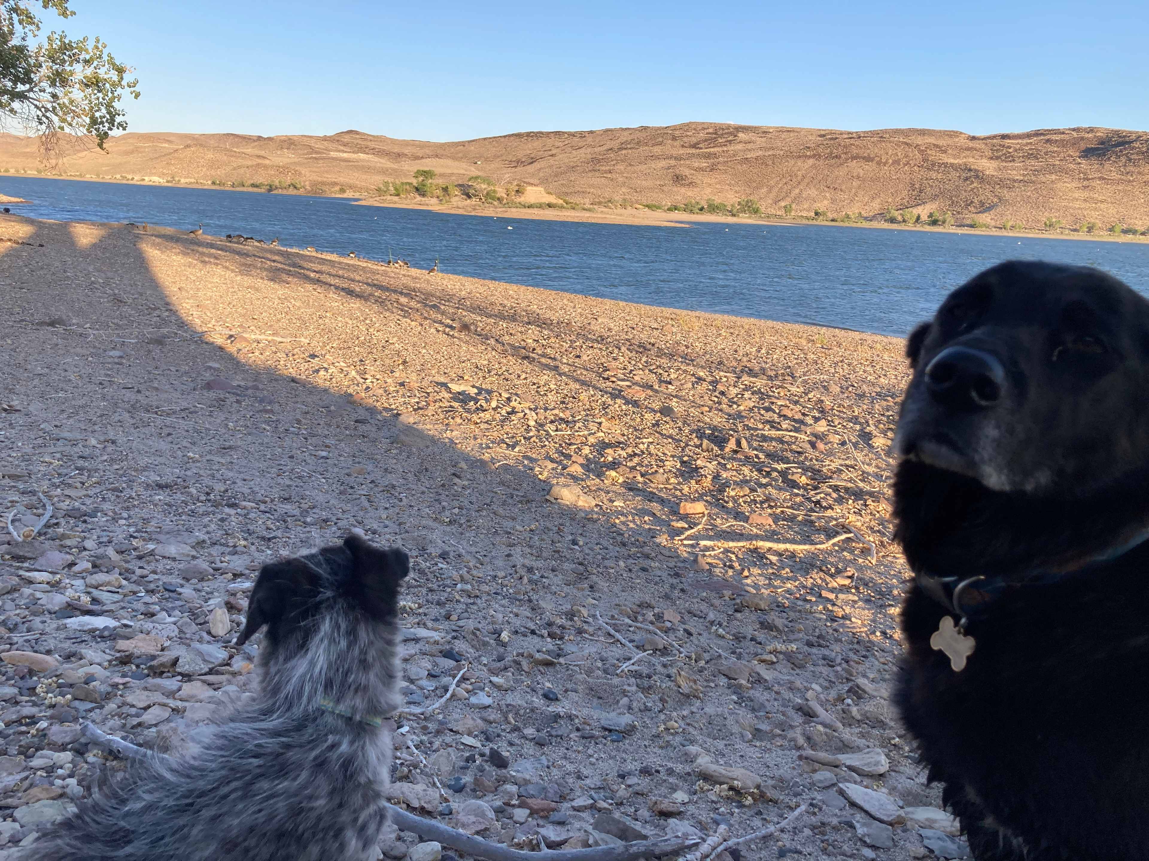 Lahontan Shores High Desert Retreat