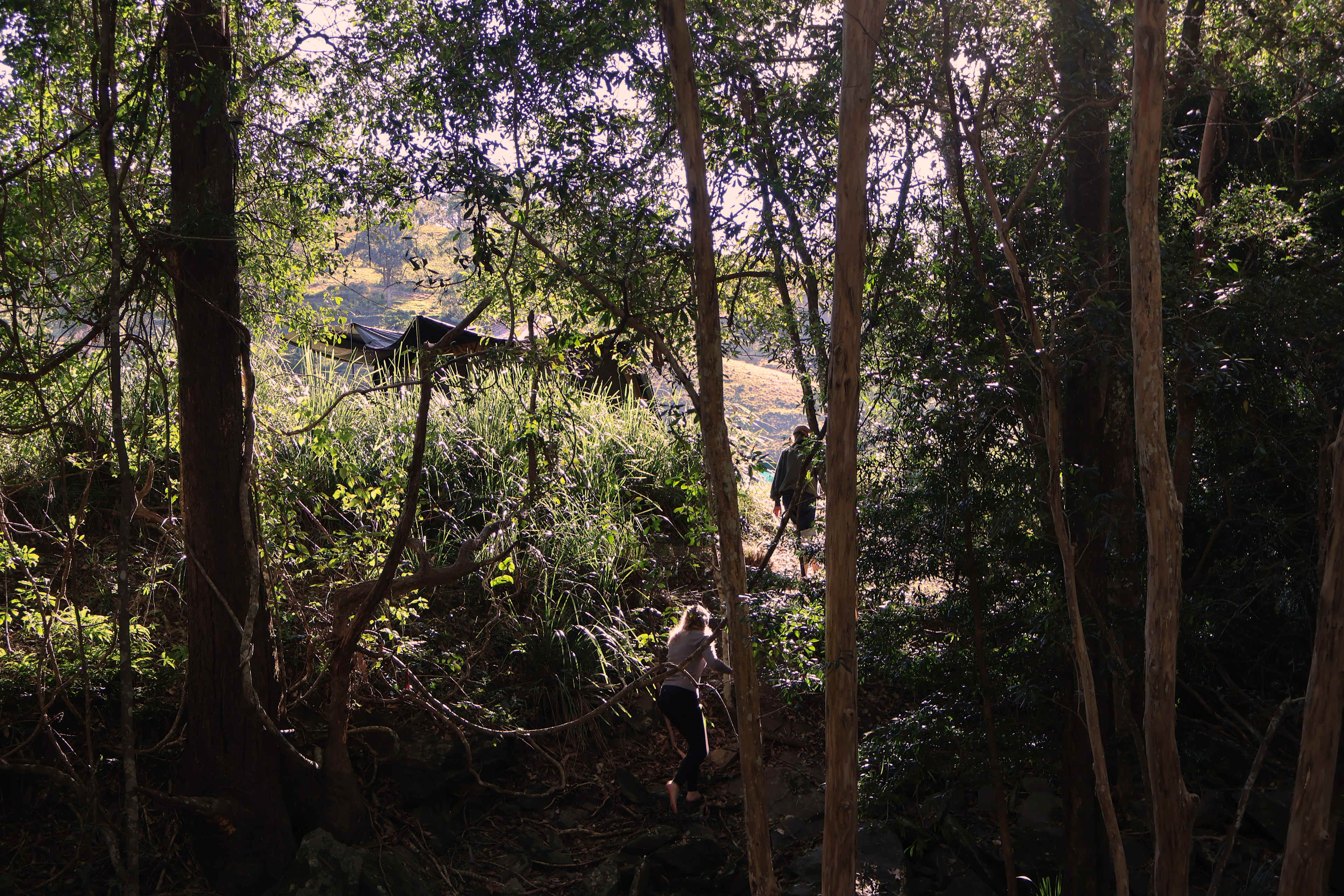 Coorie Vale