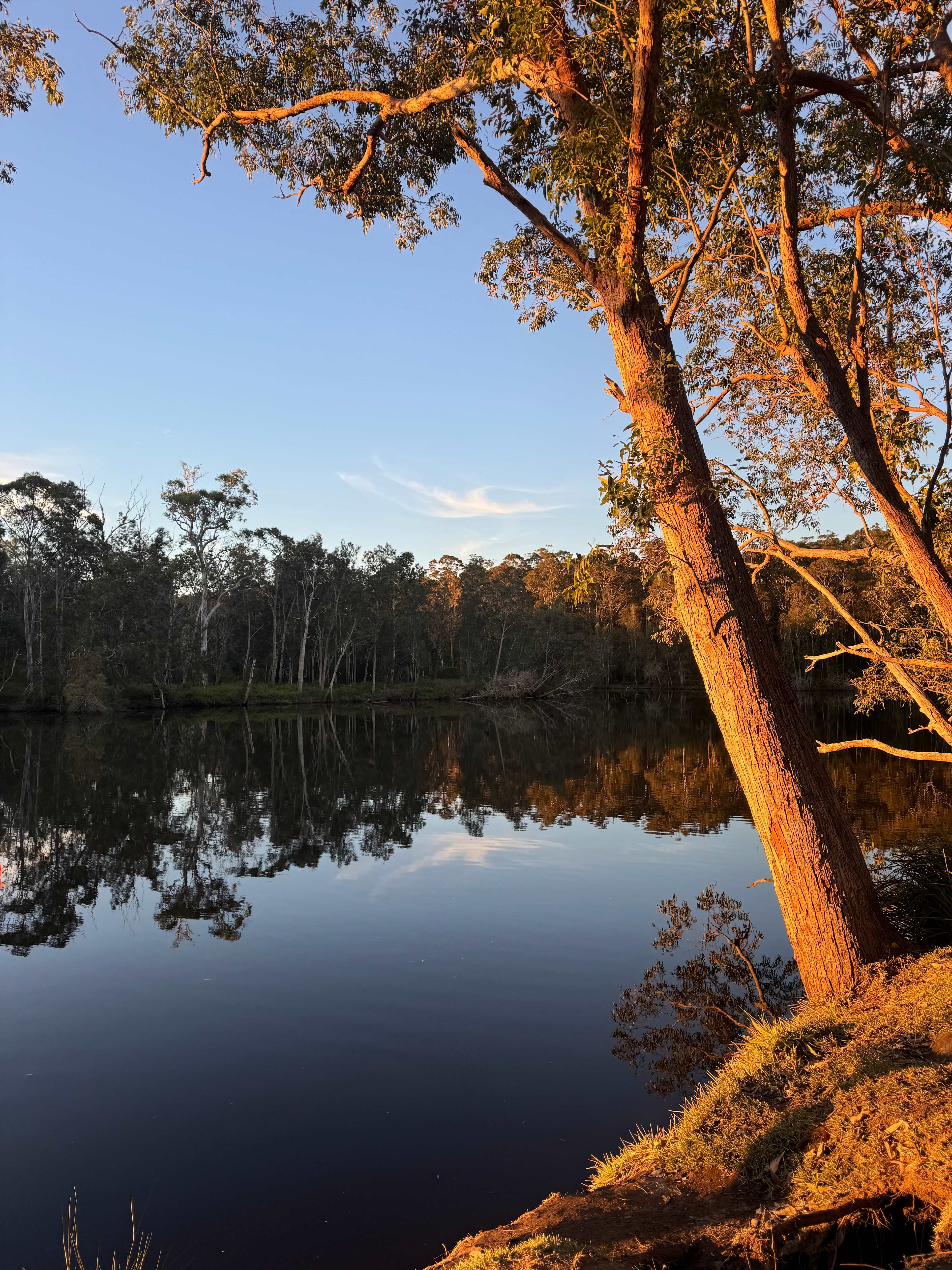 Babbling Brook 4WD Camping
