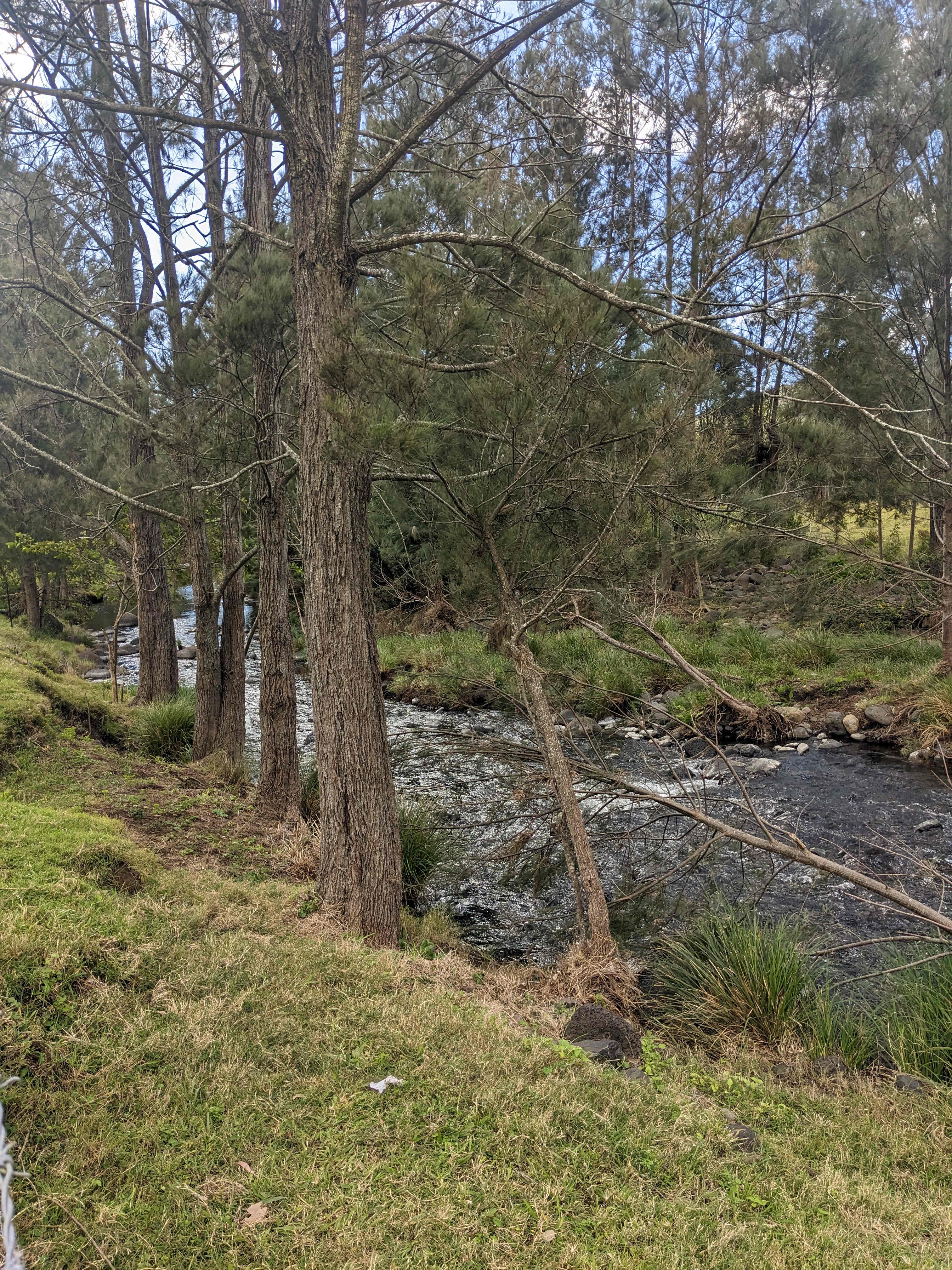 Christmas Creek Bush Retreat