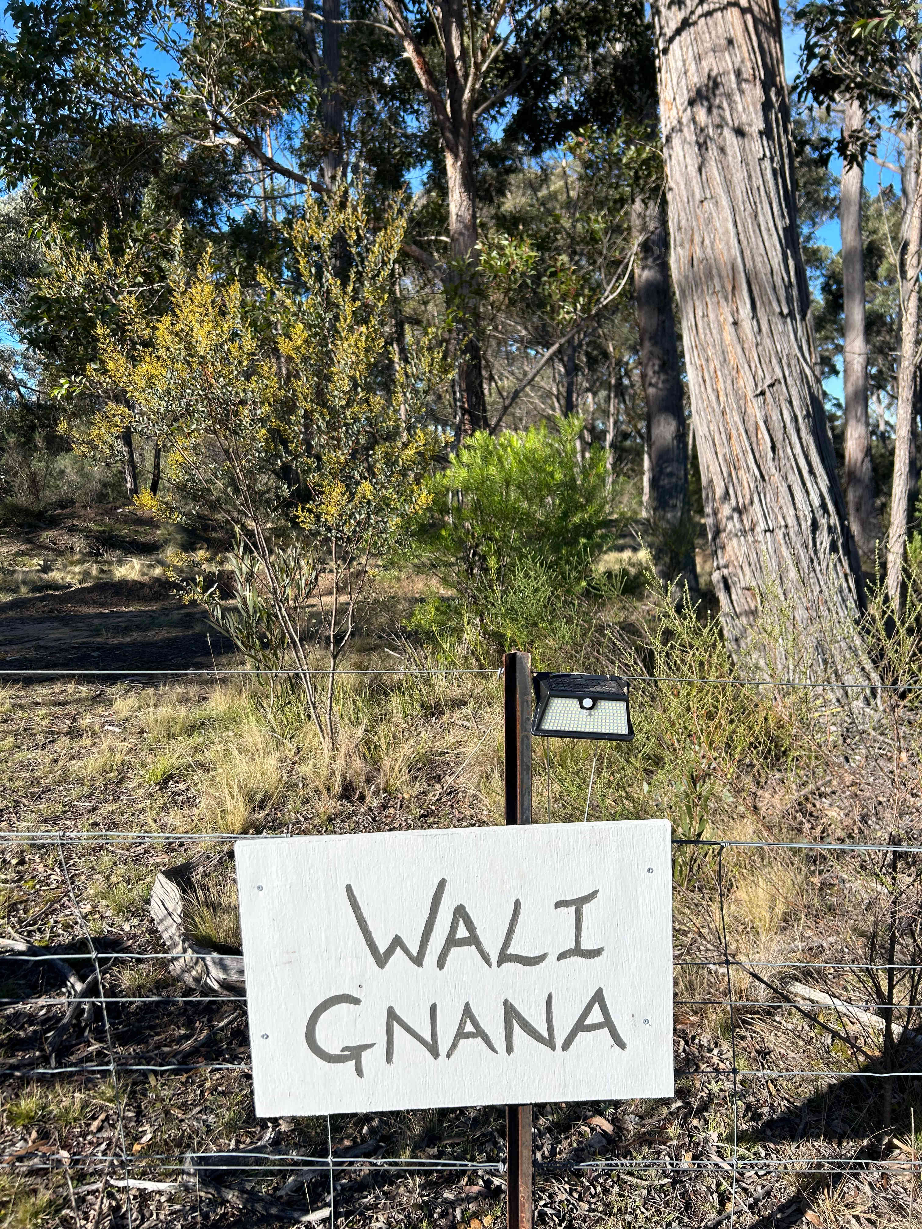 Joadja Gorge Retreat & Camping