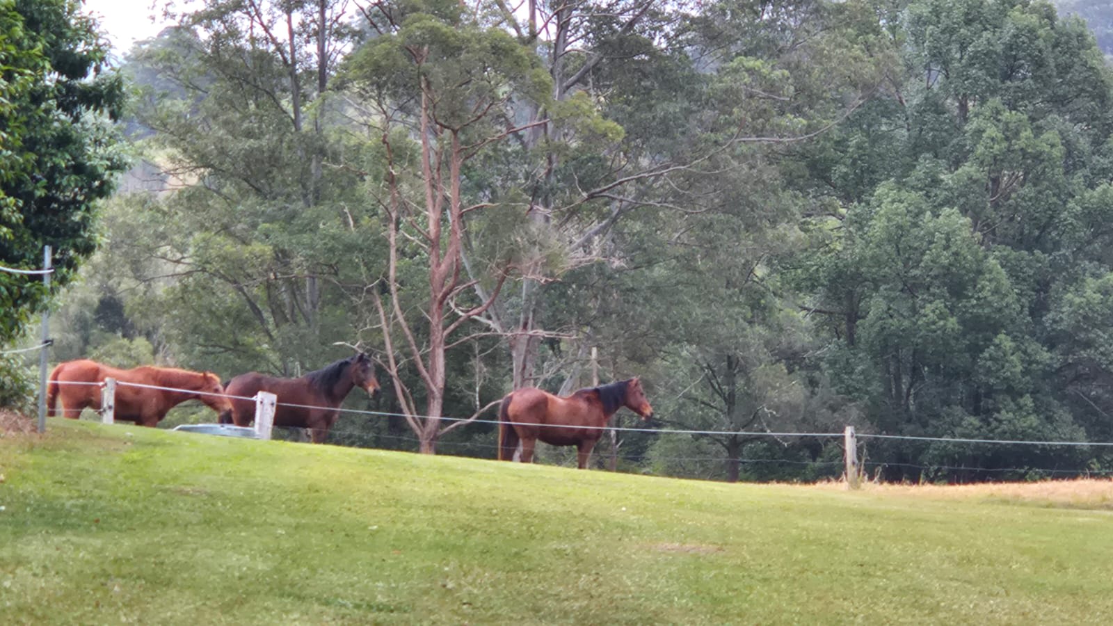 Gabrielle's Sacred Retreat