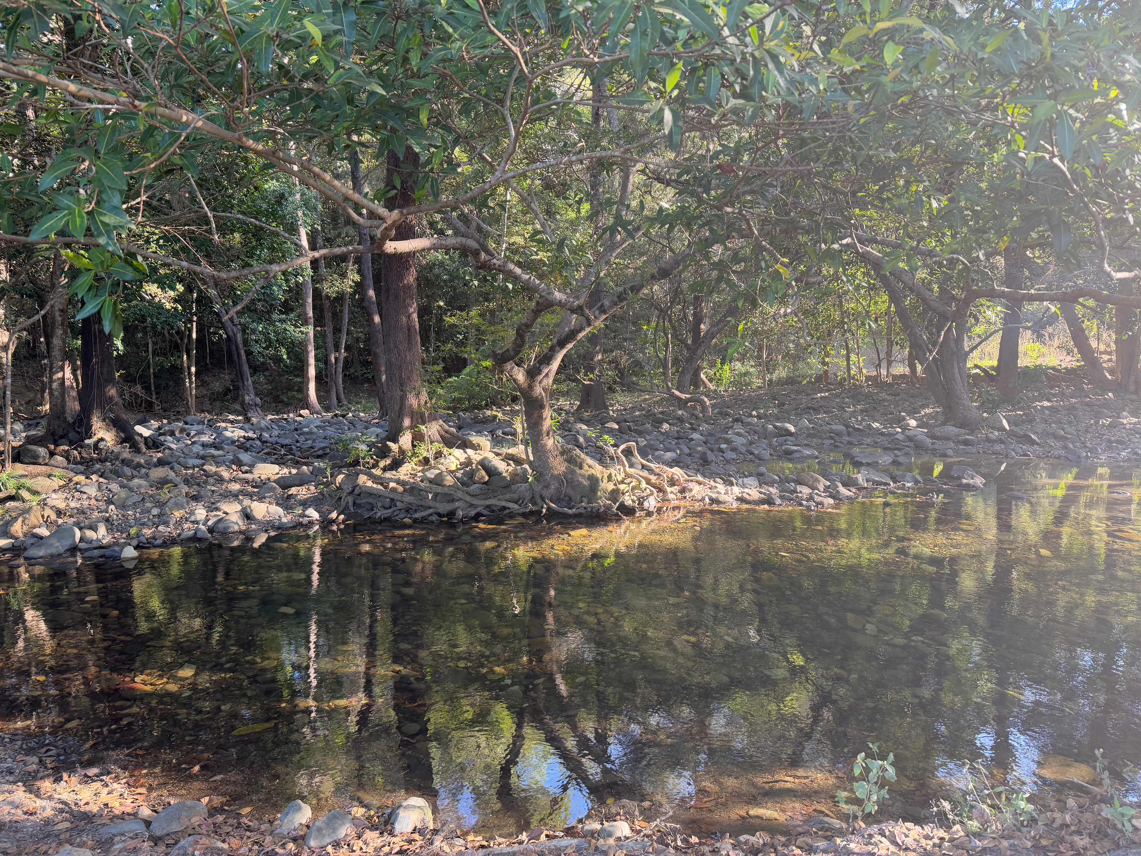 Blue Tree Campground