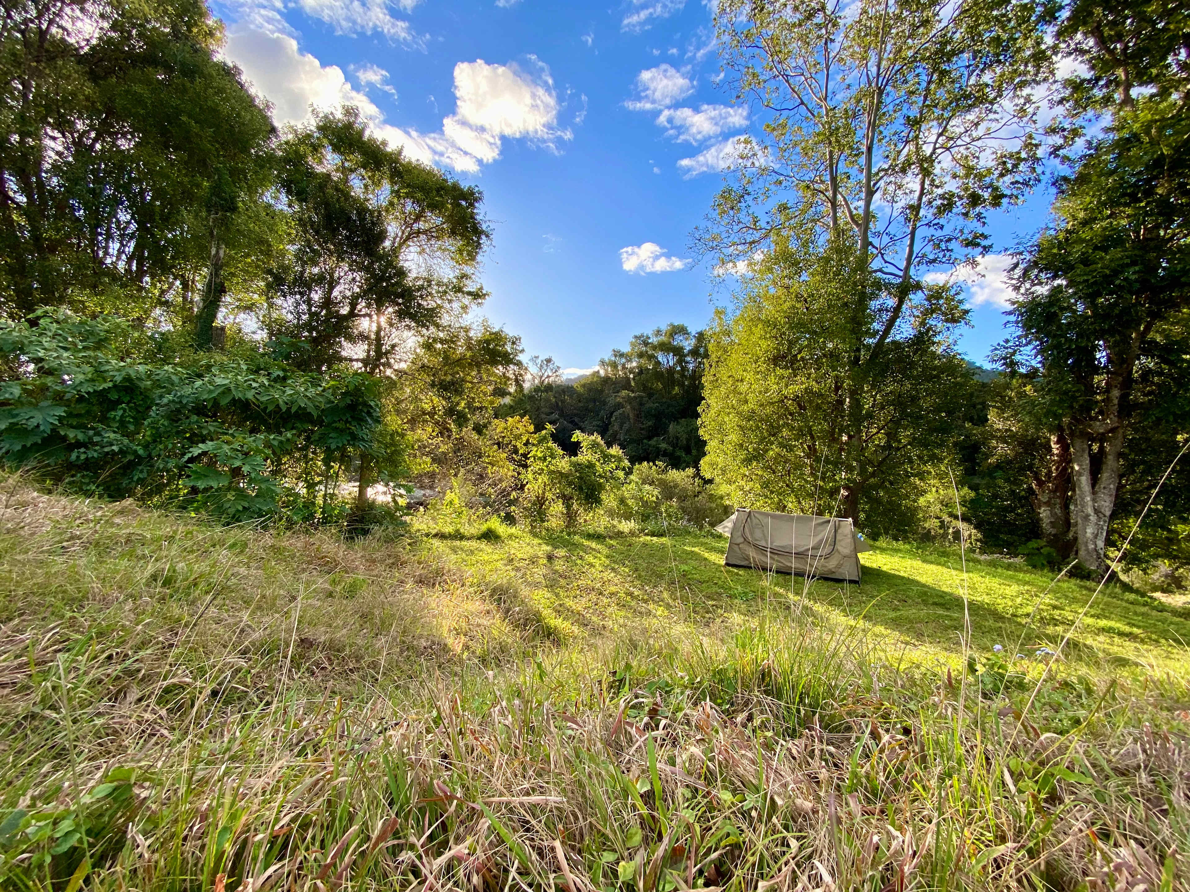McKenzies Mountain, Wollumbin