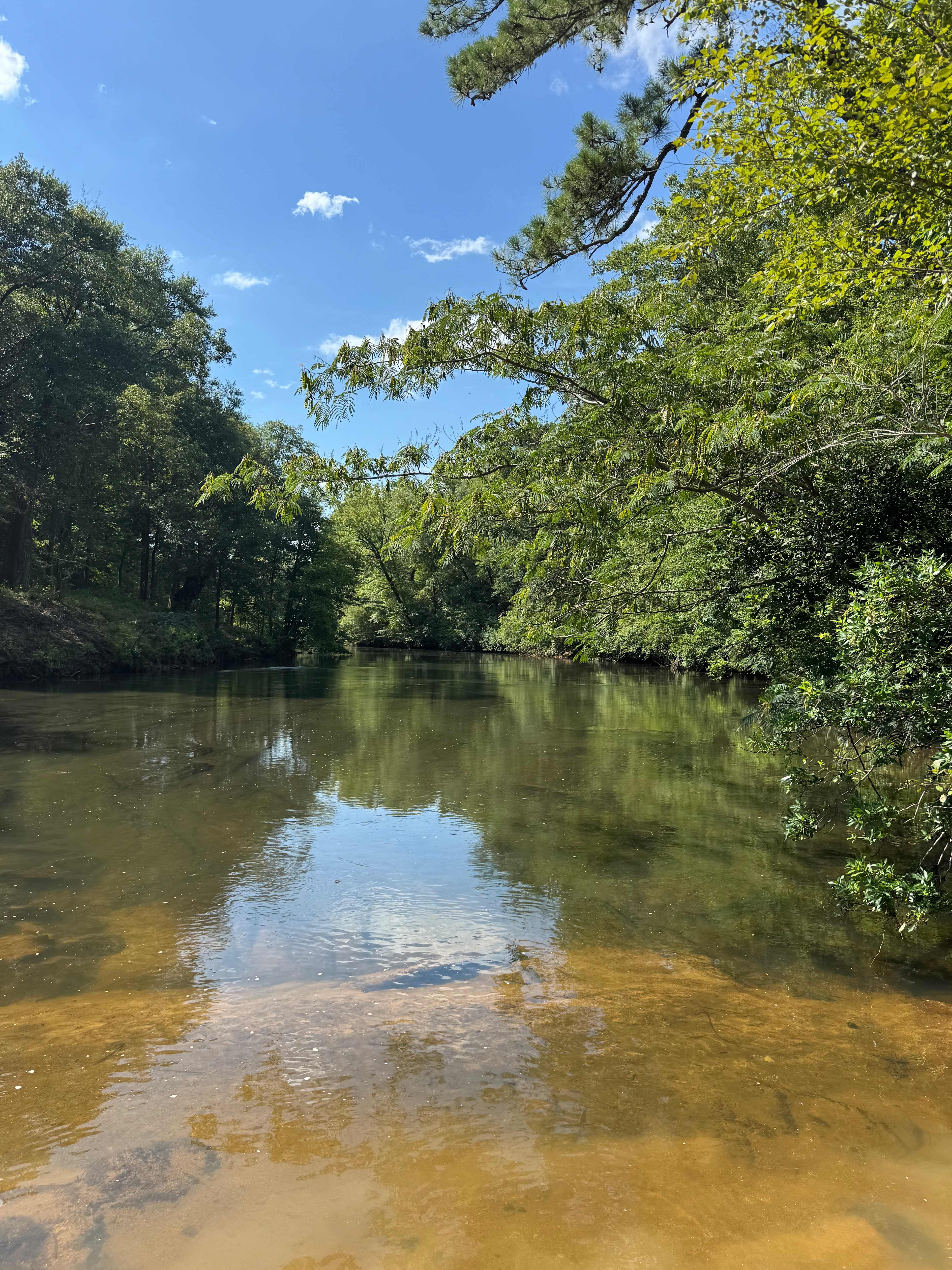 Secluded Riverbend Camp