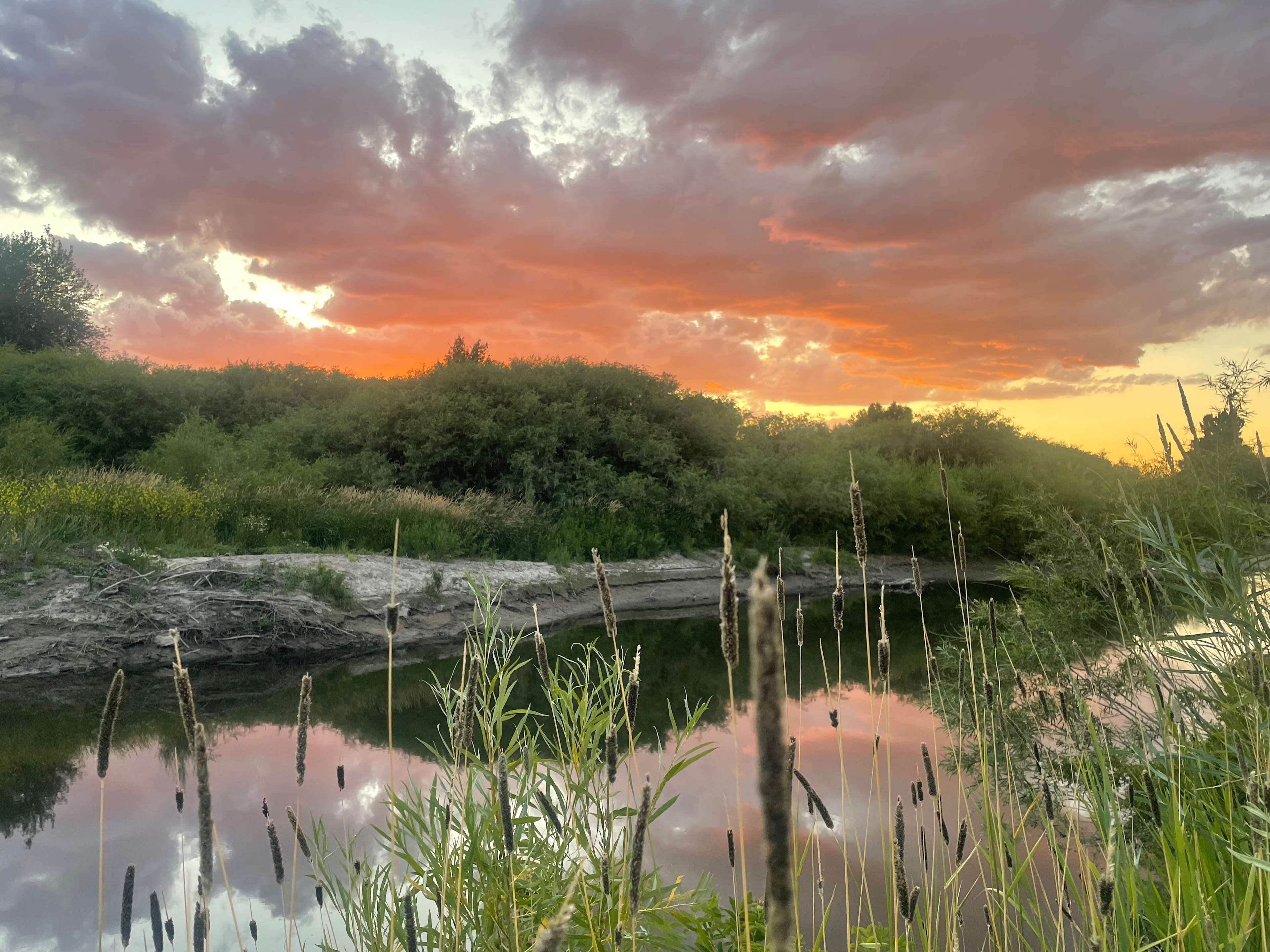 Teton Corners River Preserve