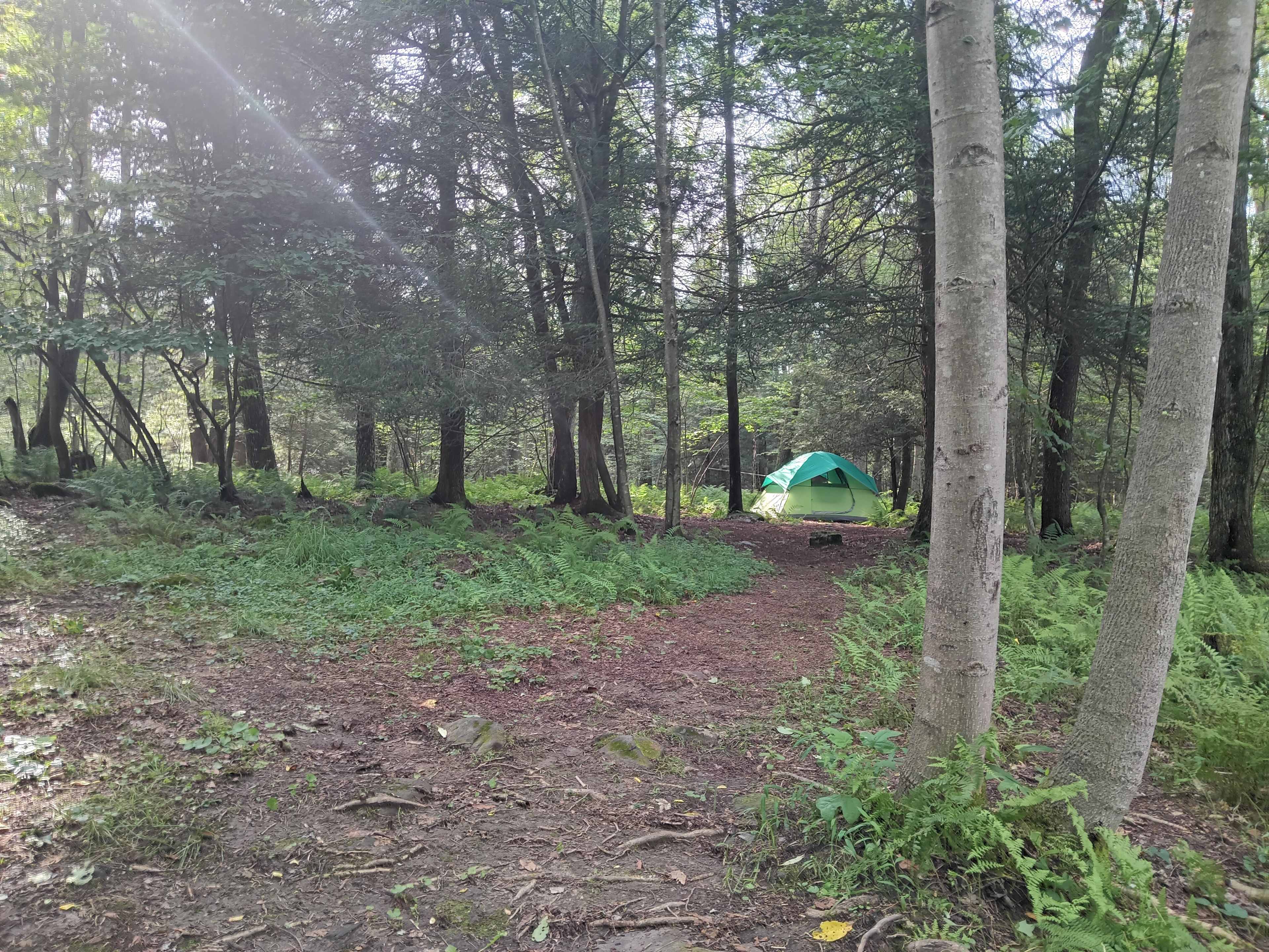 Great level spots for tents.