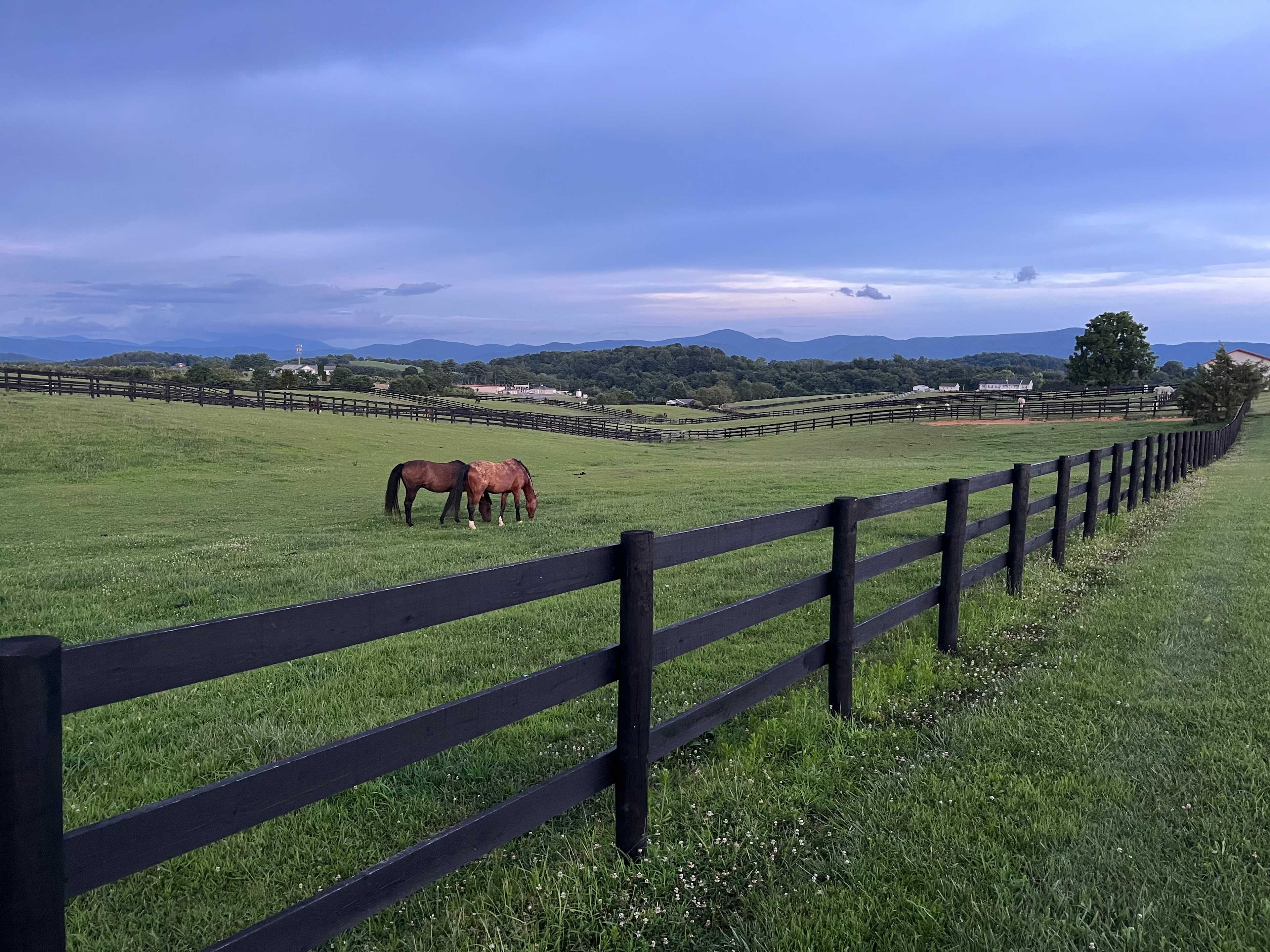 Mane Gait Equestrian Center
