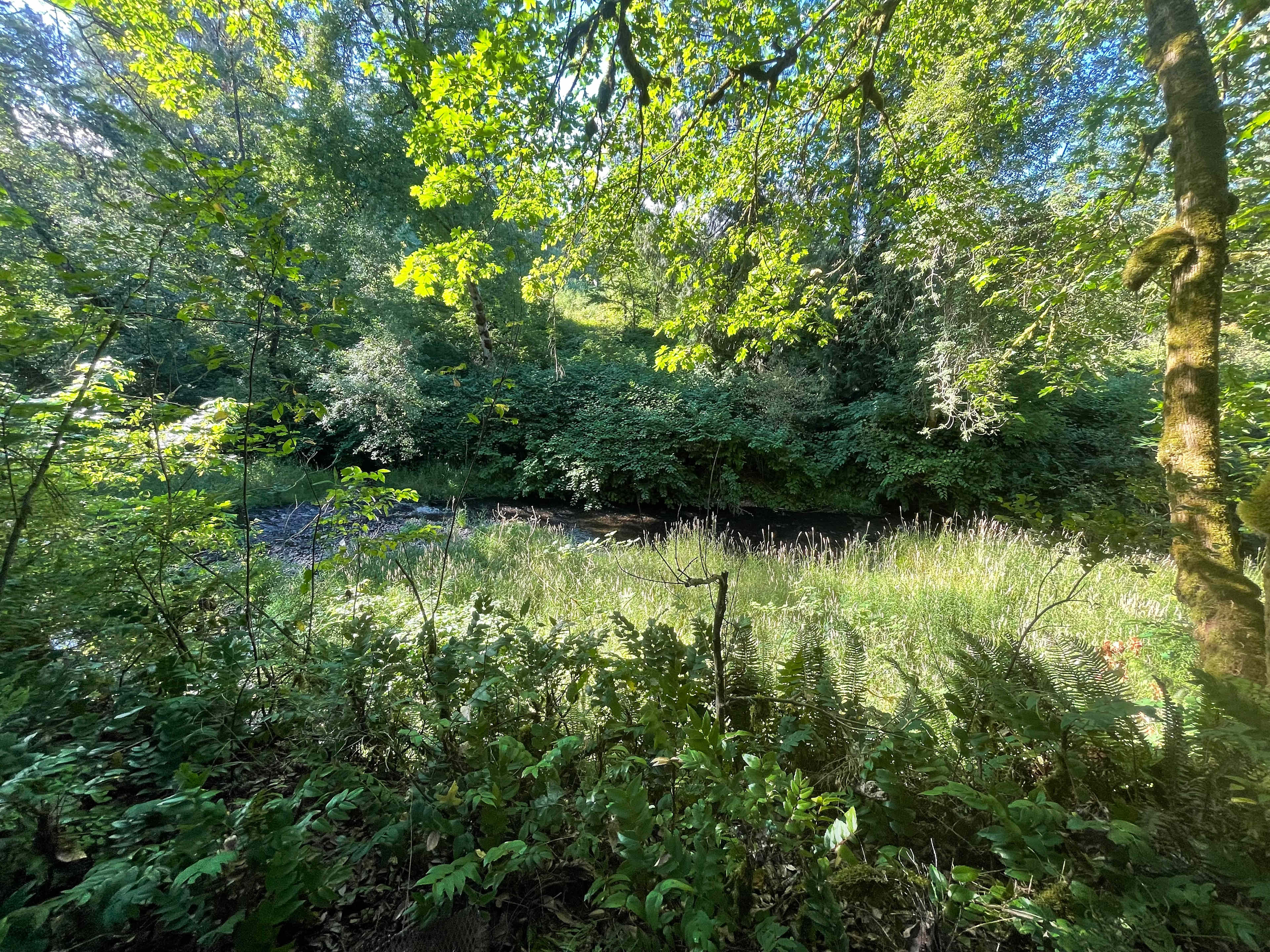 Isla Springs