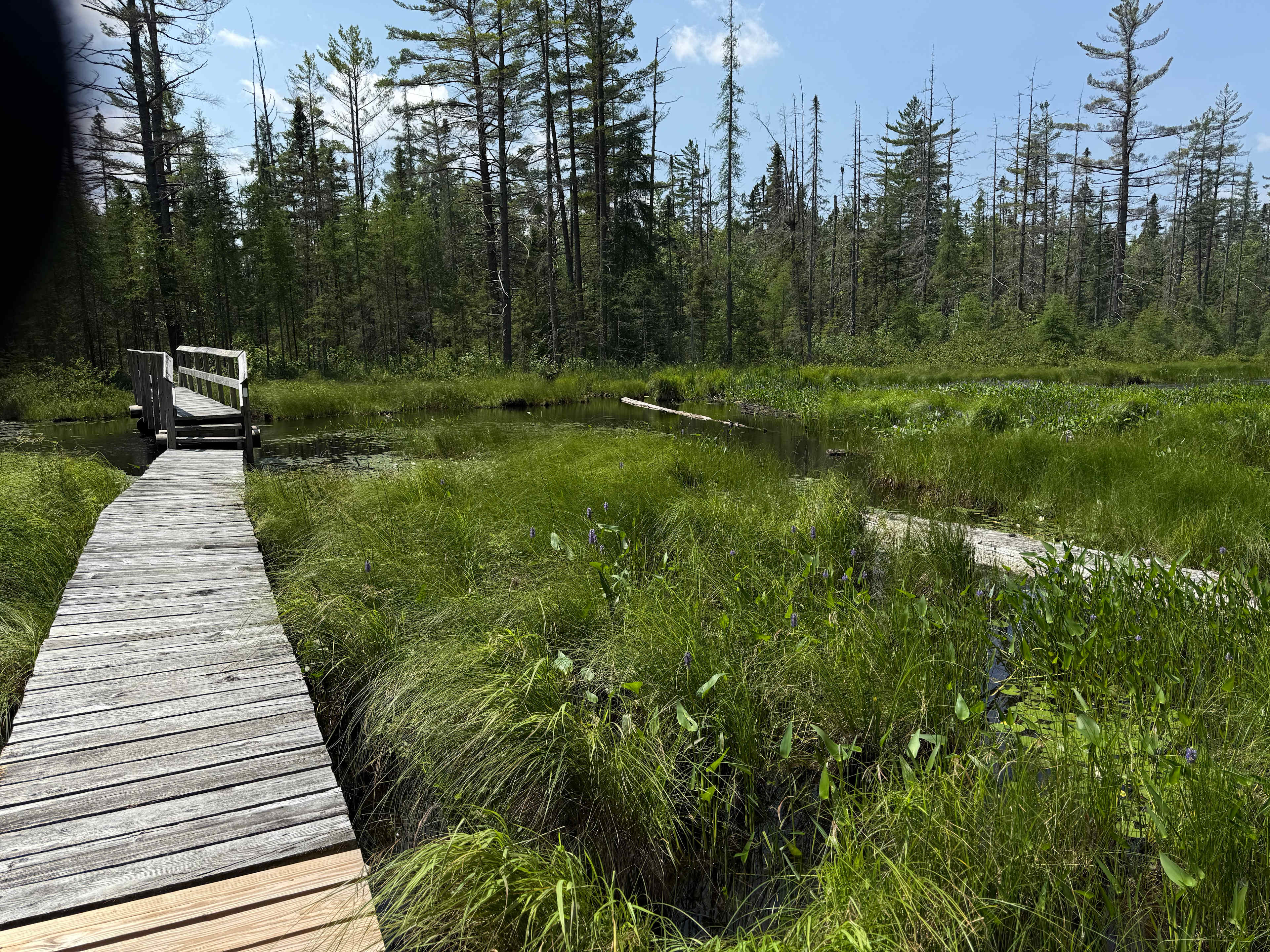White trail crossing Grasse River