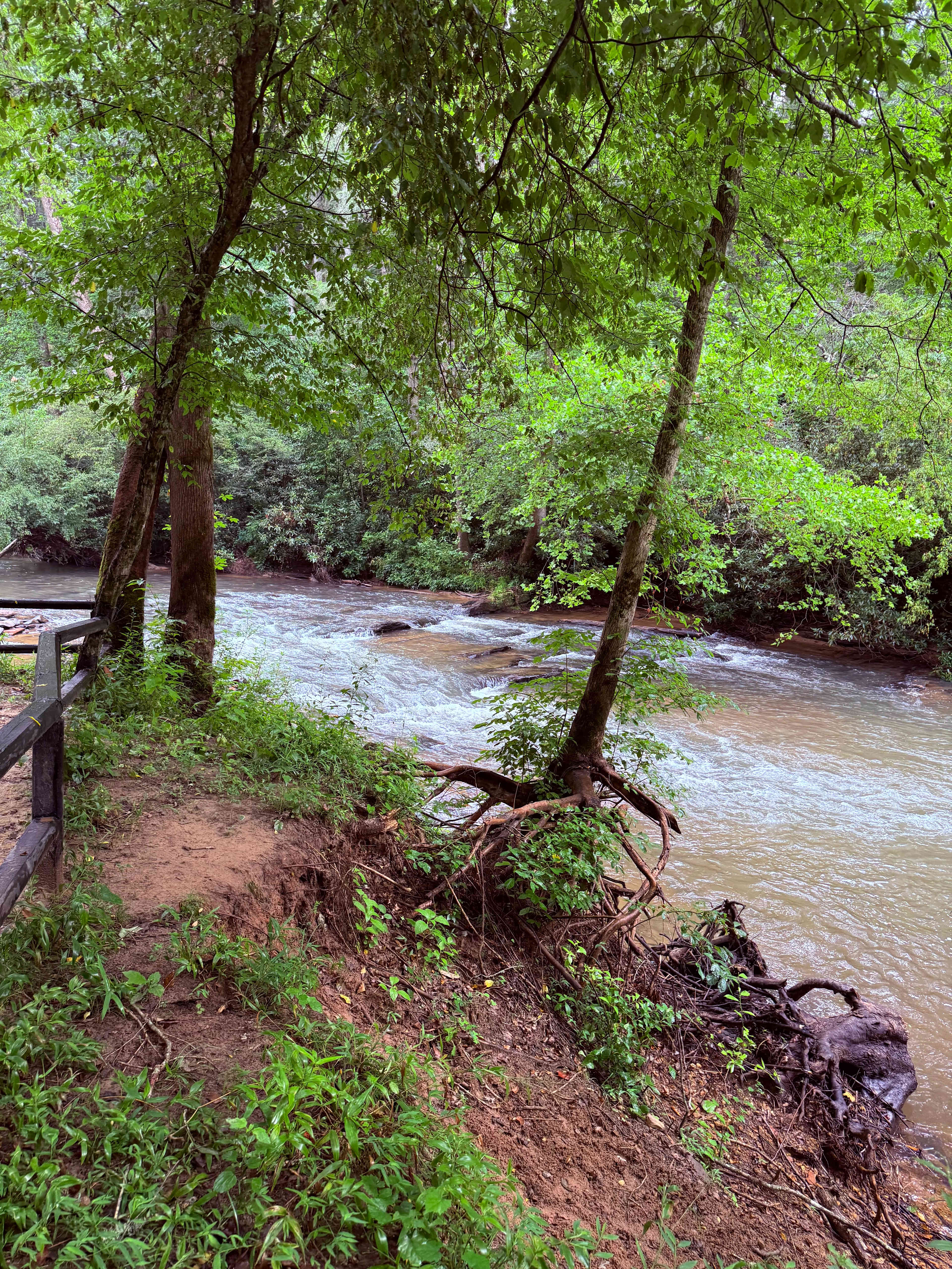 Castleberry Bridge