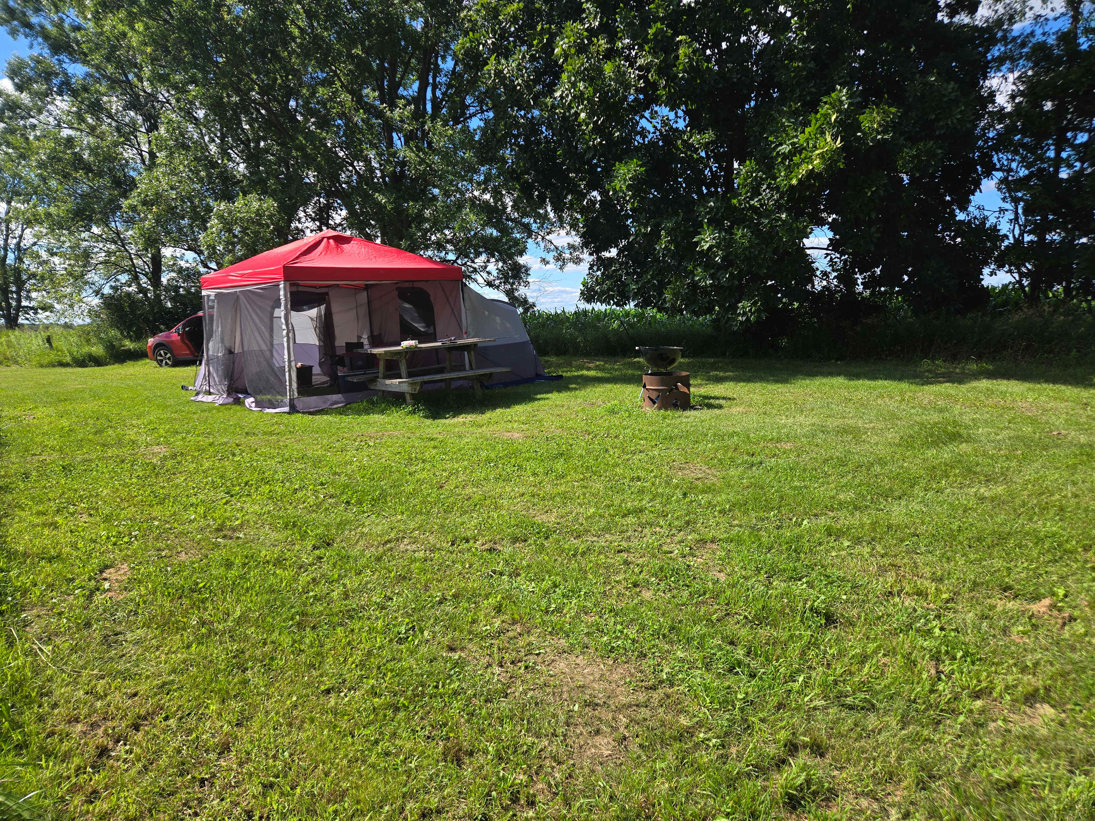 Decent sized site that accommodated a large tent, canopy, car & still had plenty of space for activities