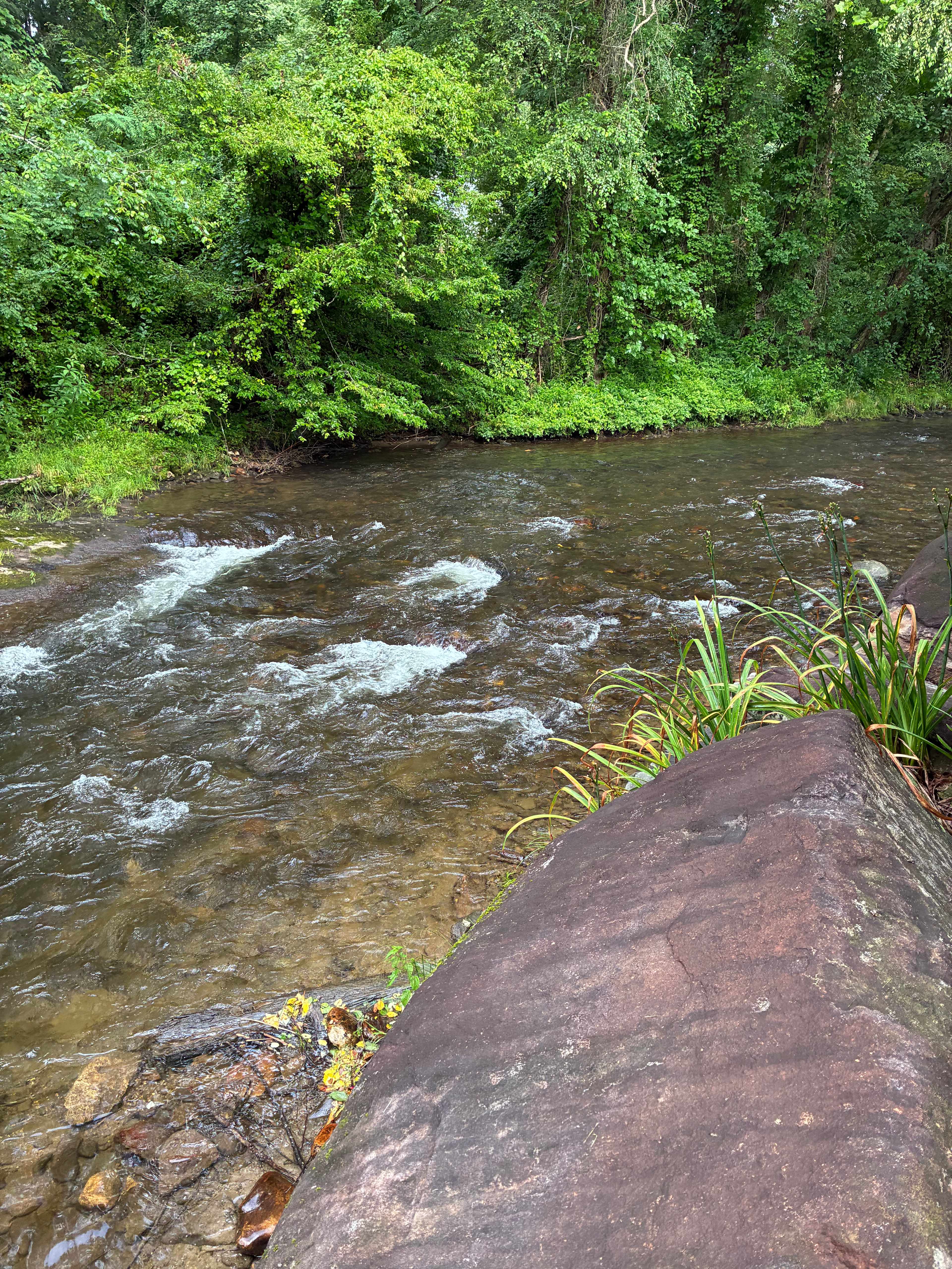 By The Creek Campspot