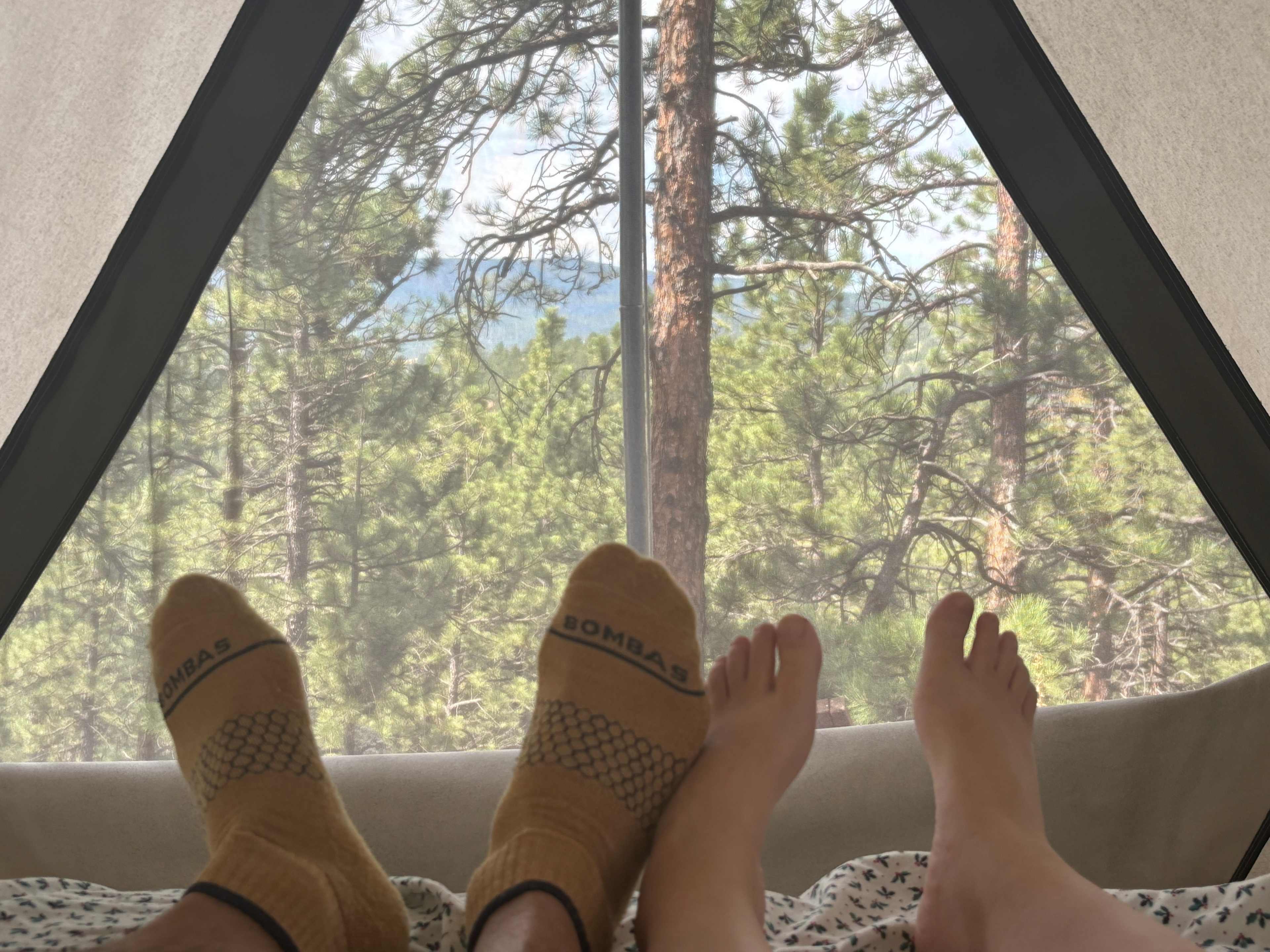 Great views even inside the tent