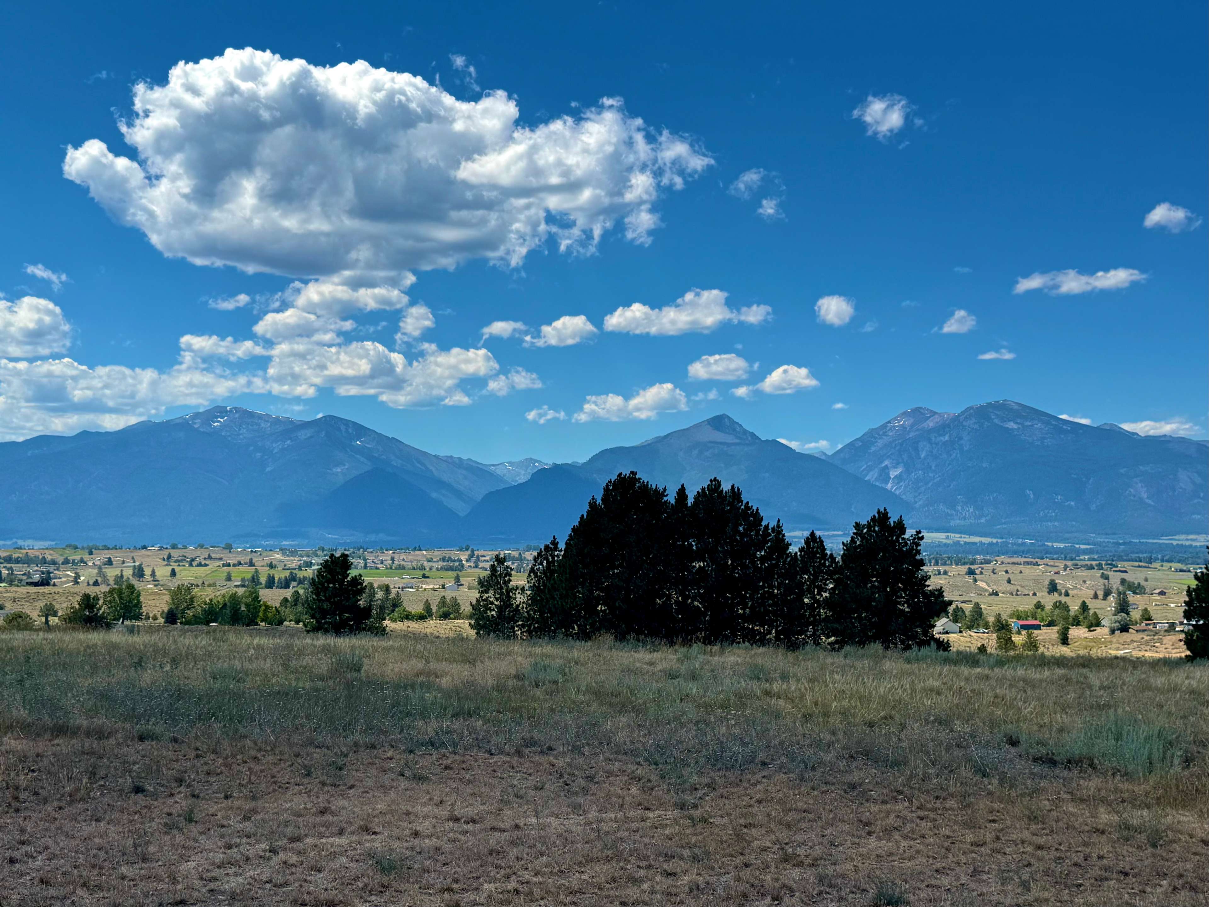 Bitterroot Panorama