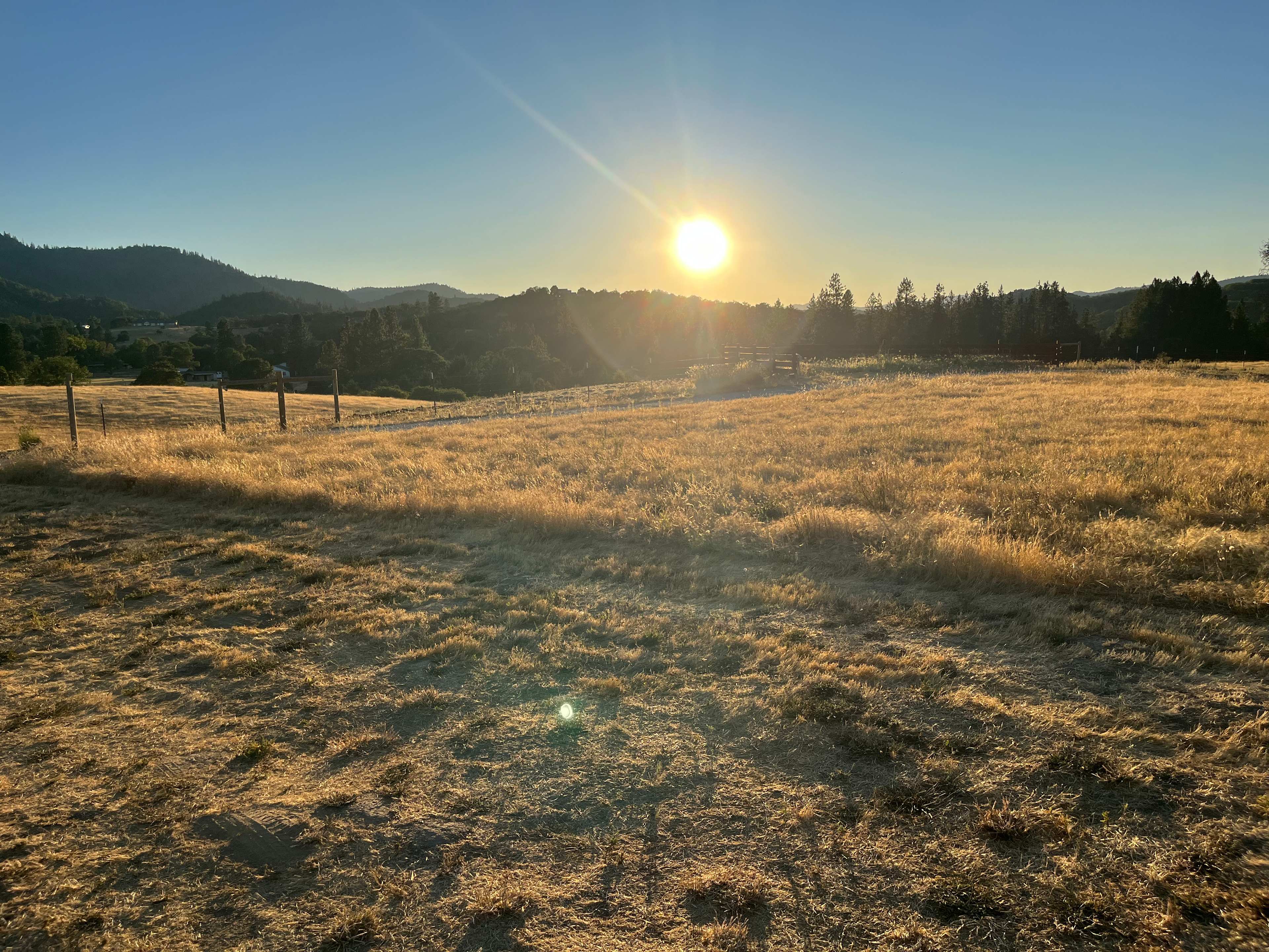 Lane Creek Reserve