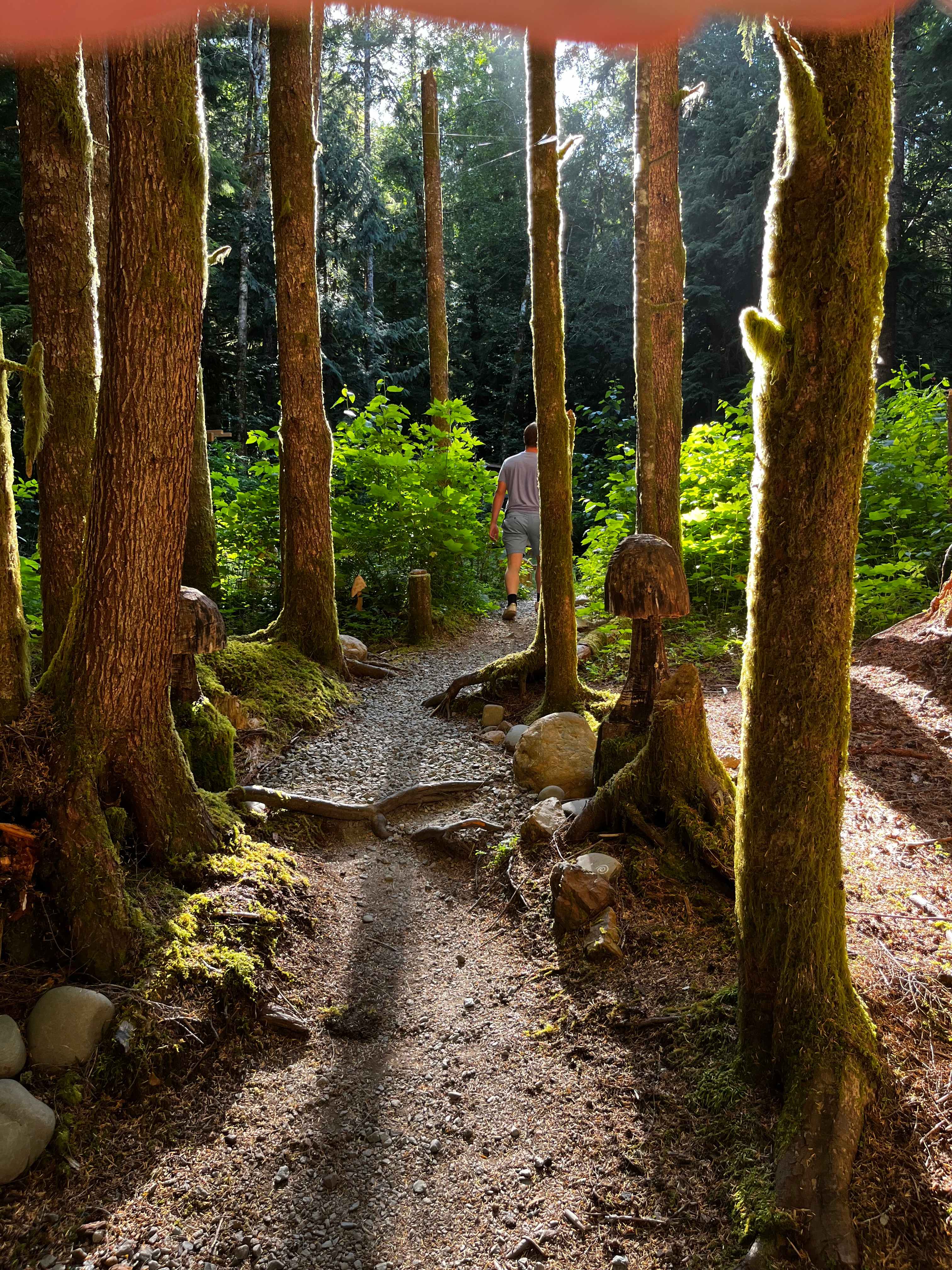 sol duc rainforest retreat