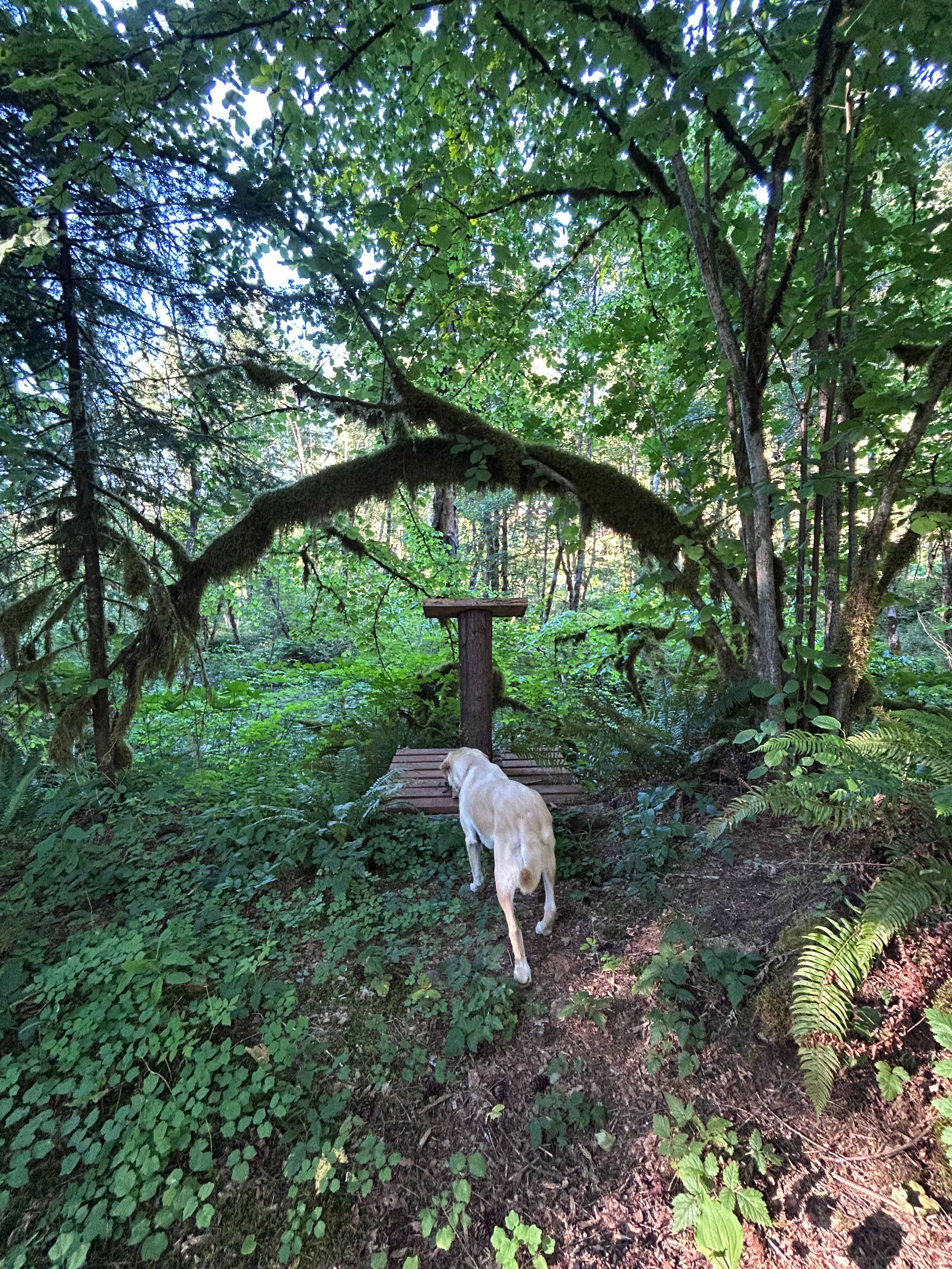 Winberry Walden