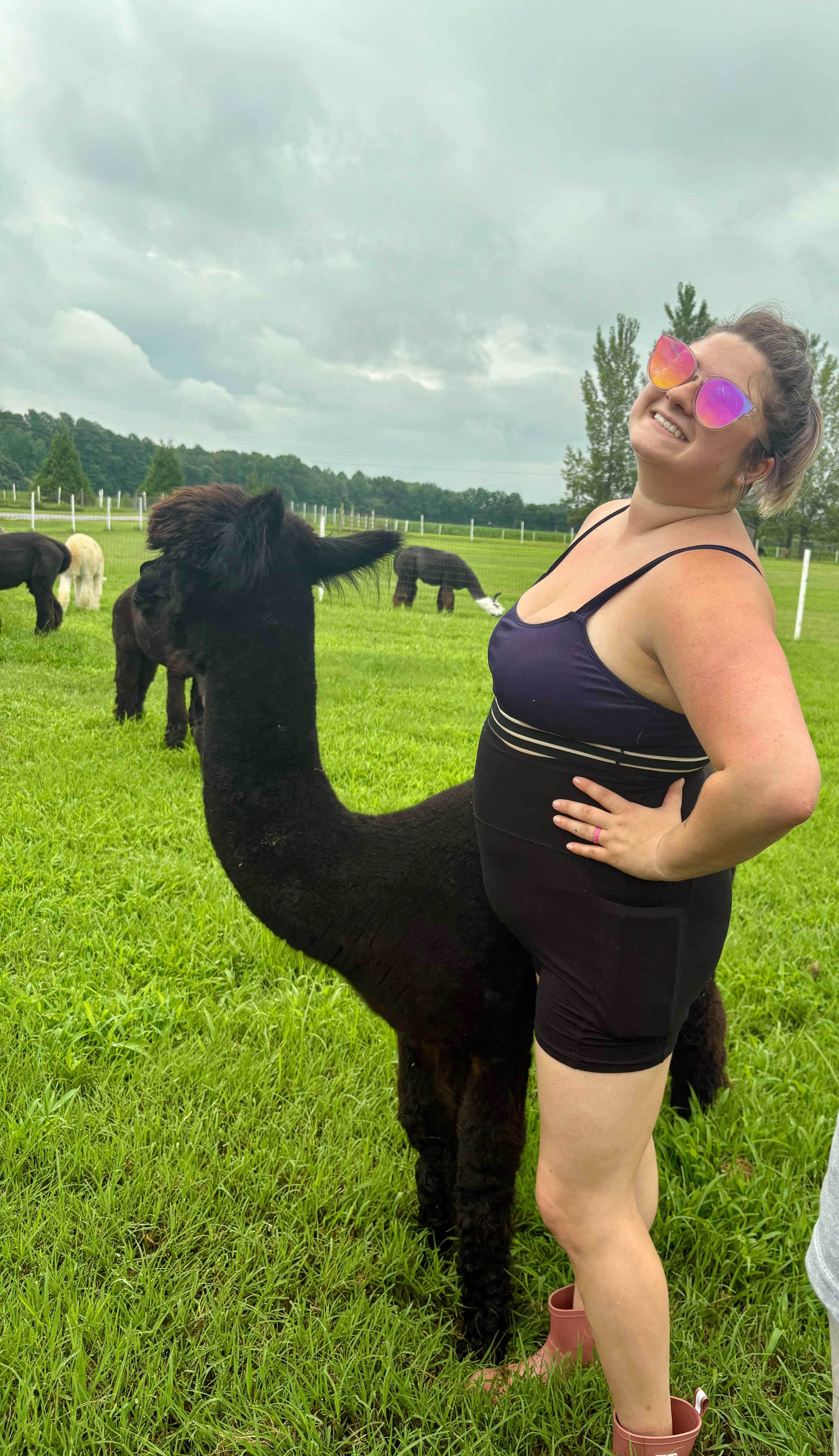 Alpaca Farm