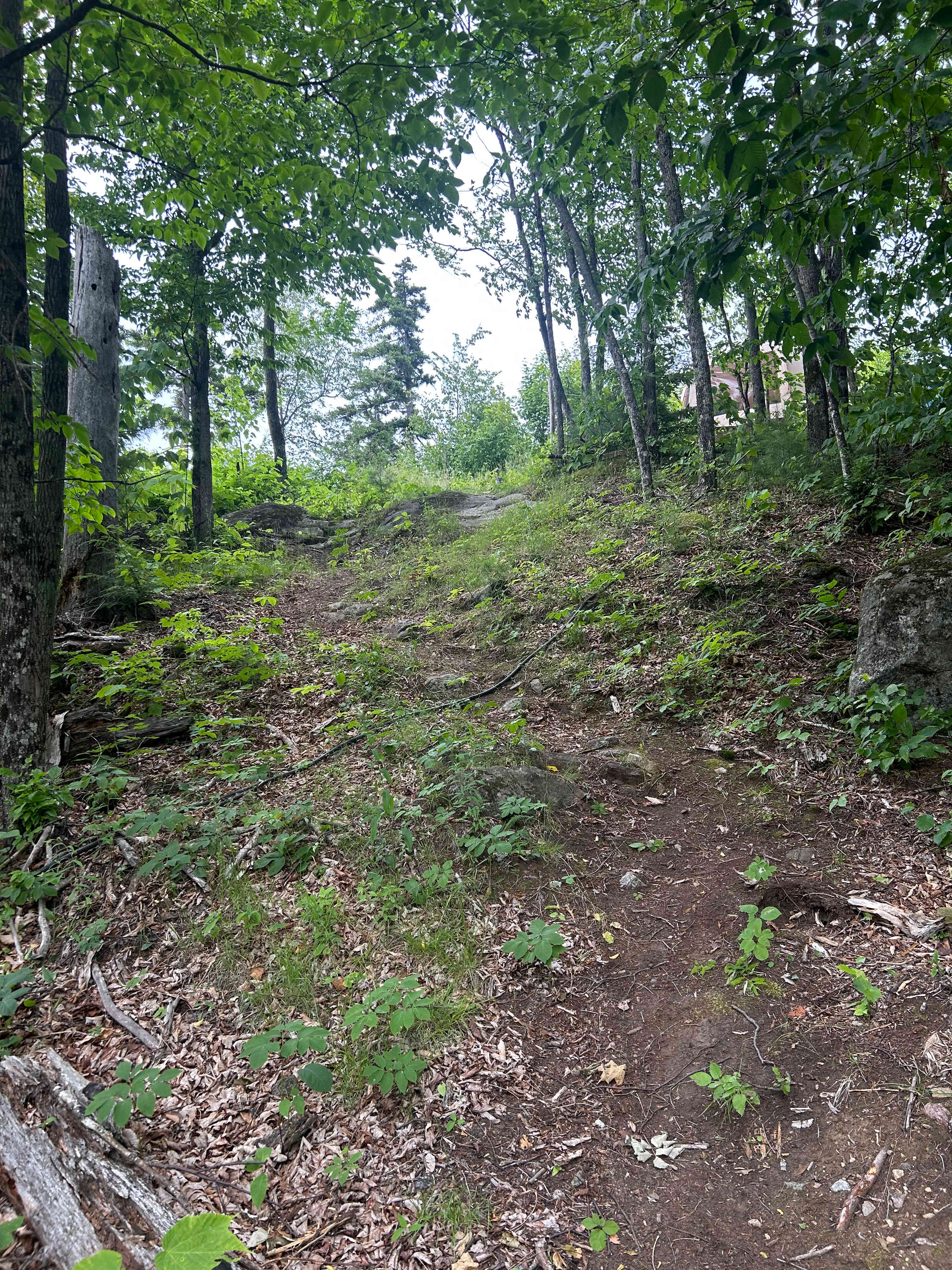 Scott’s Summit