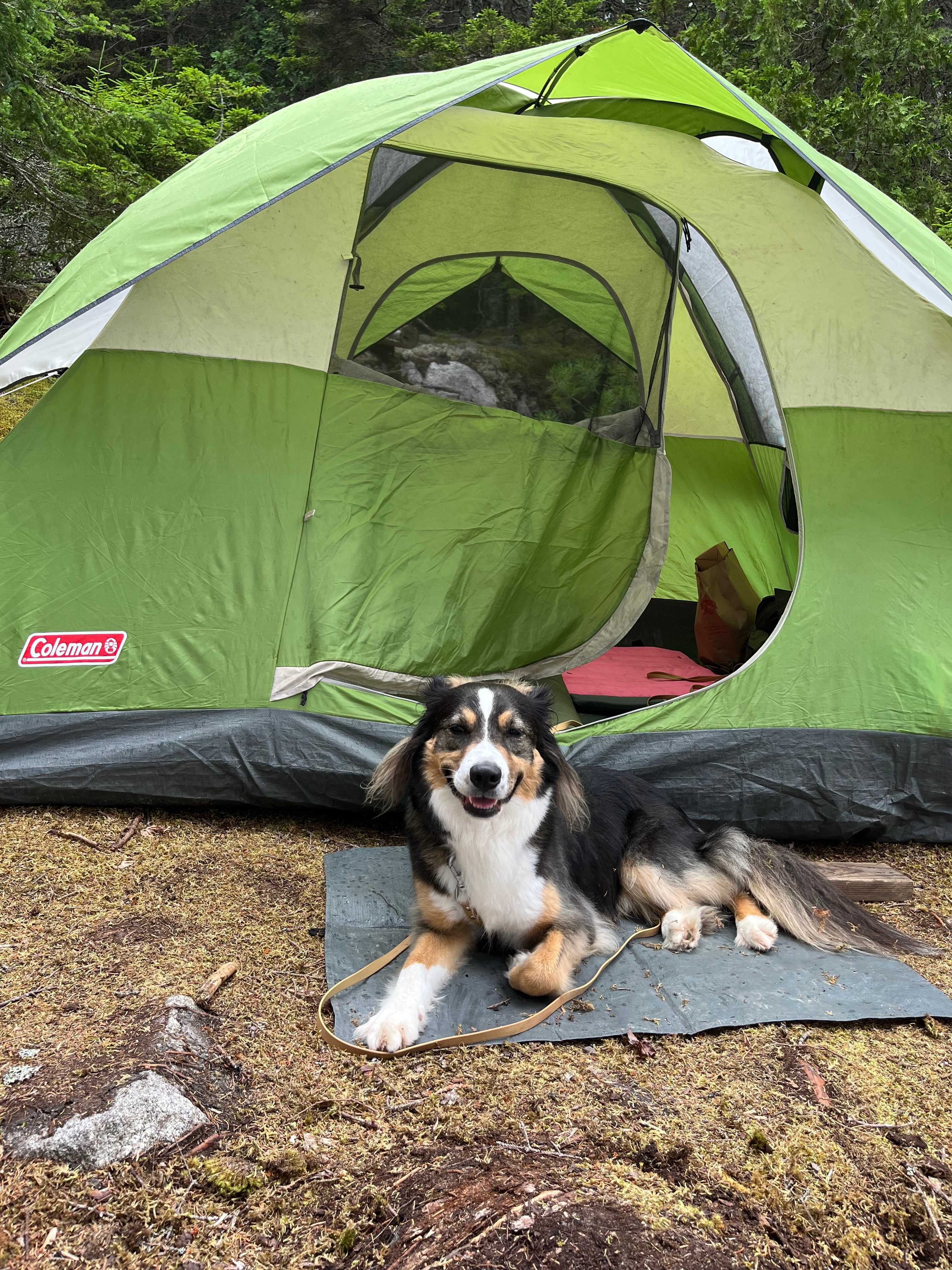 Tom's Retreat on Gardner Lake