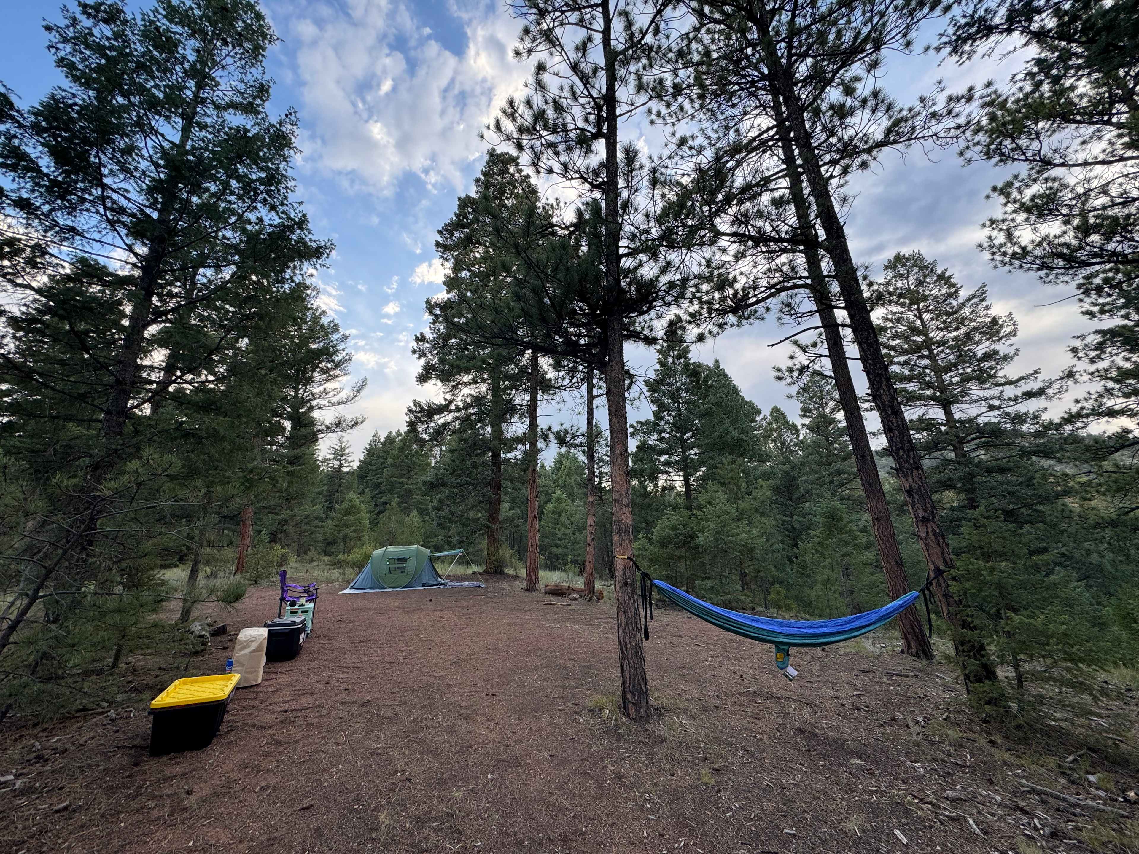 Serenity in the Foothills