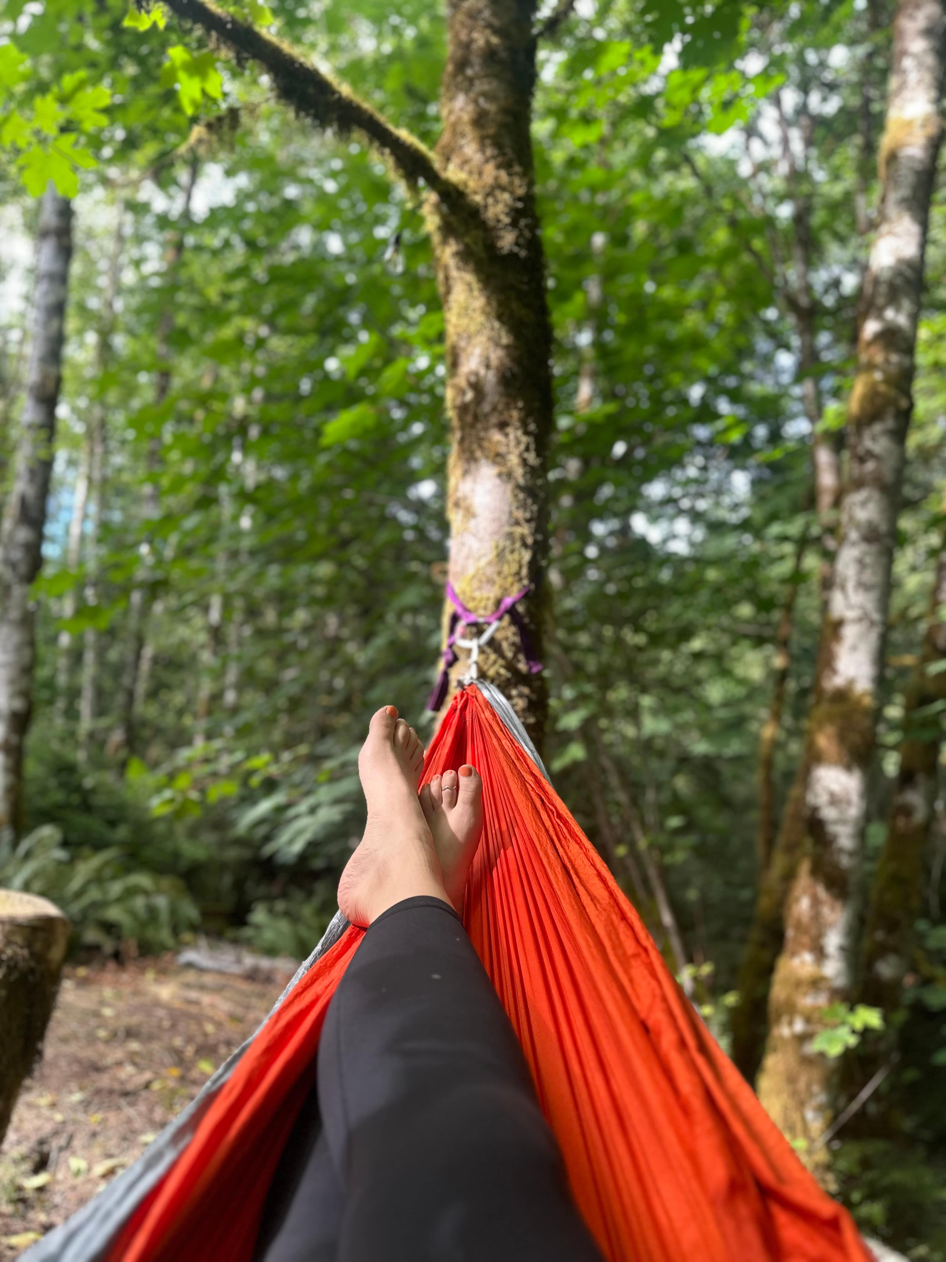 Neighborwood: An Eco Retreat