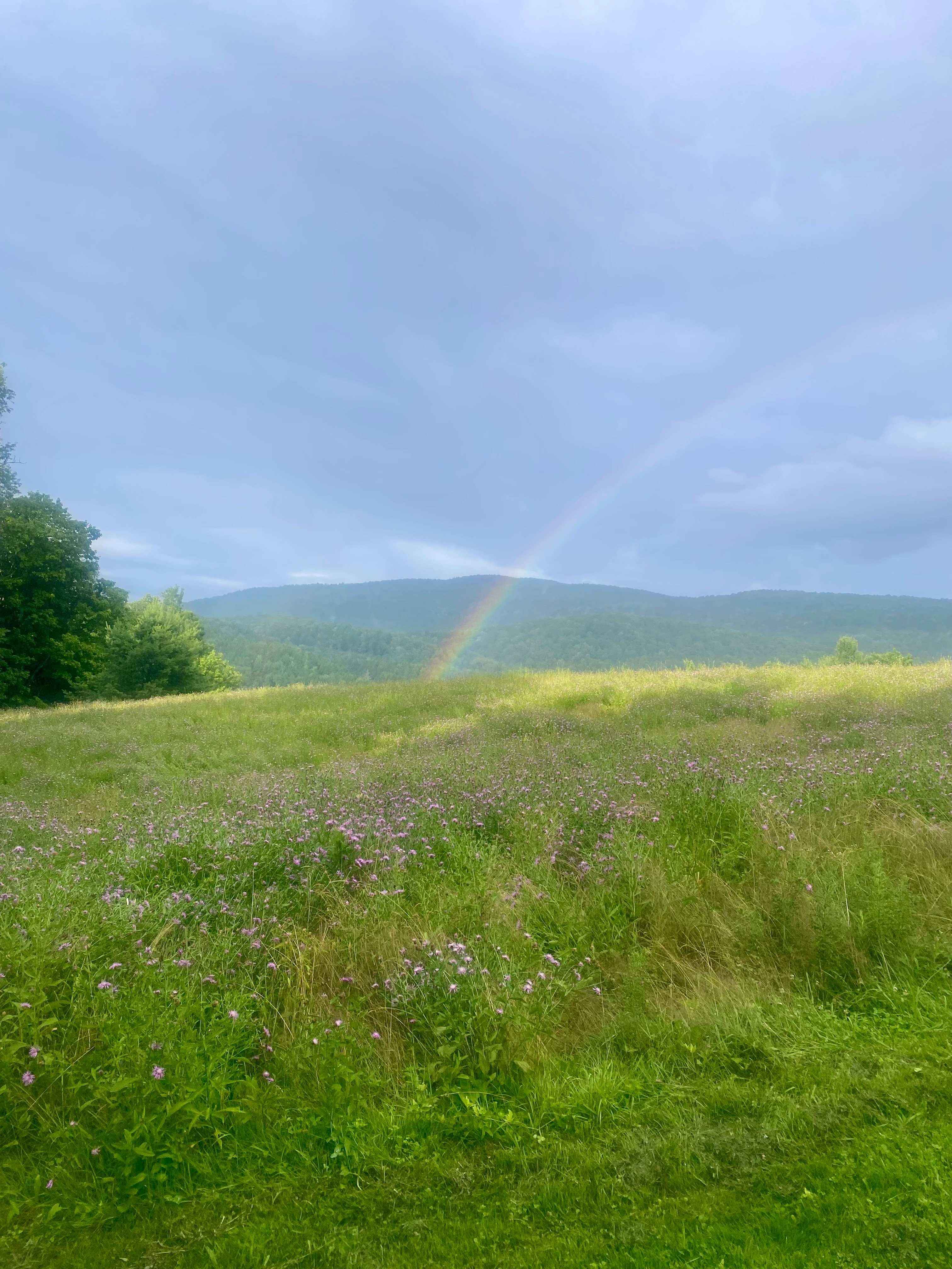 Black Creek Maple Off Grid Camp