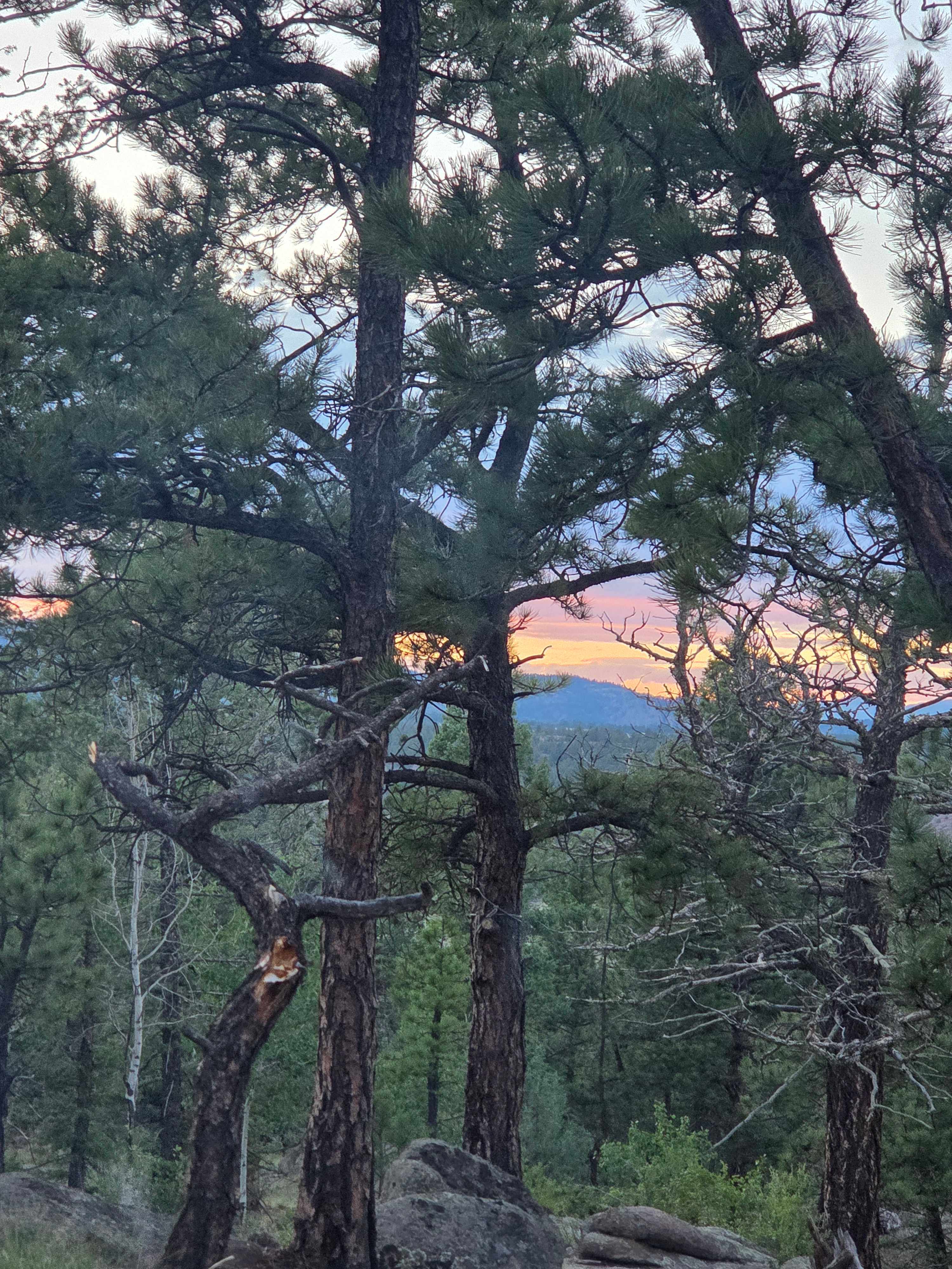 H Acres Camping or RV