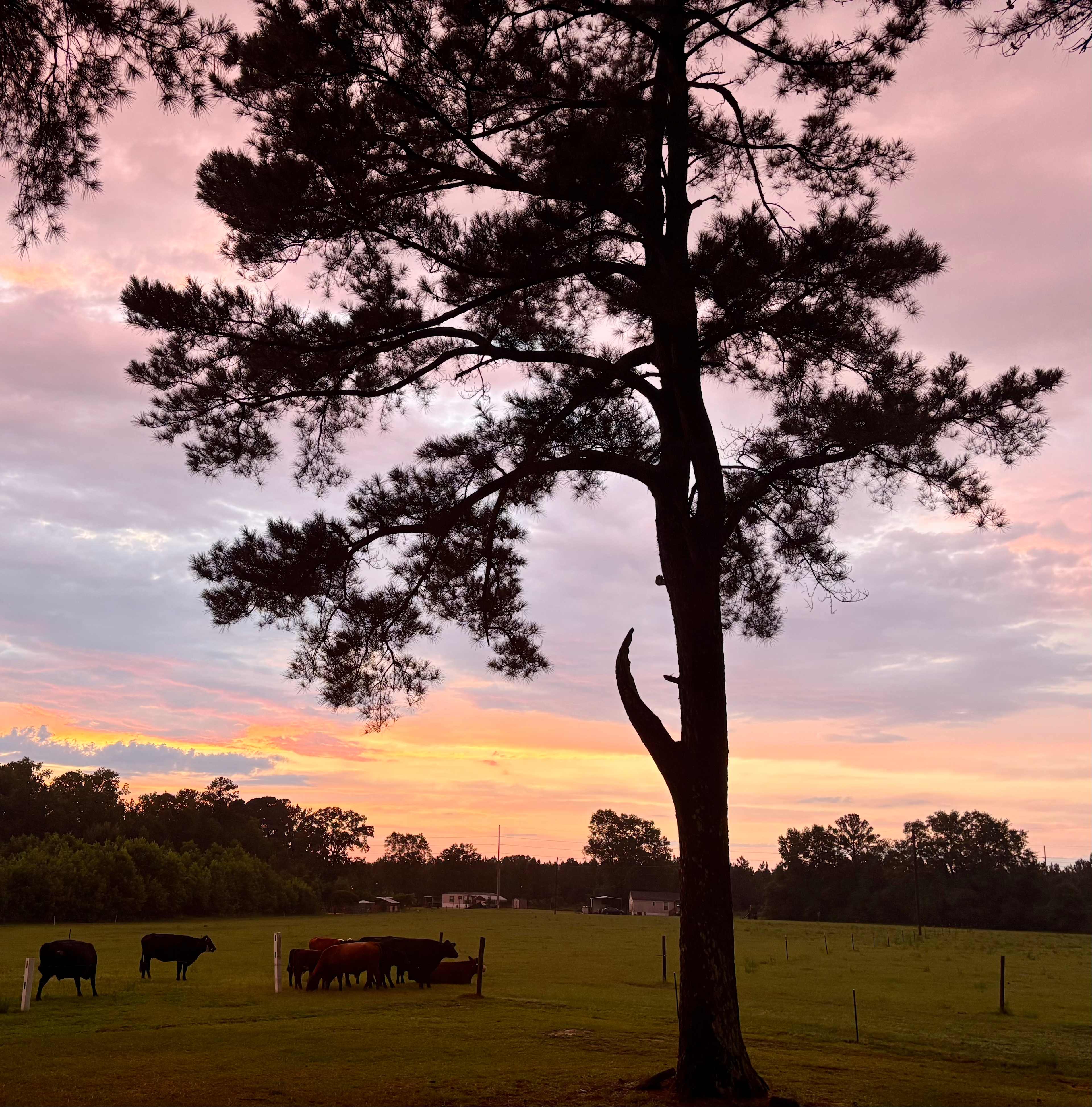 Double L Farms RV Park, LLC