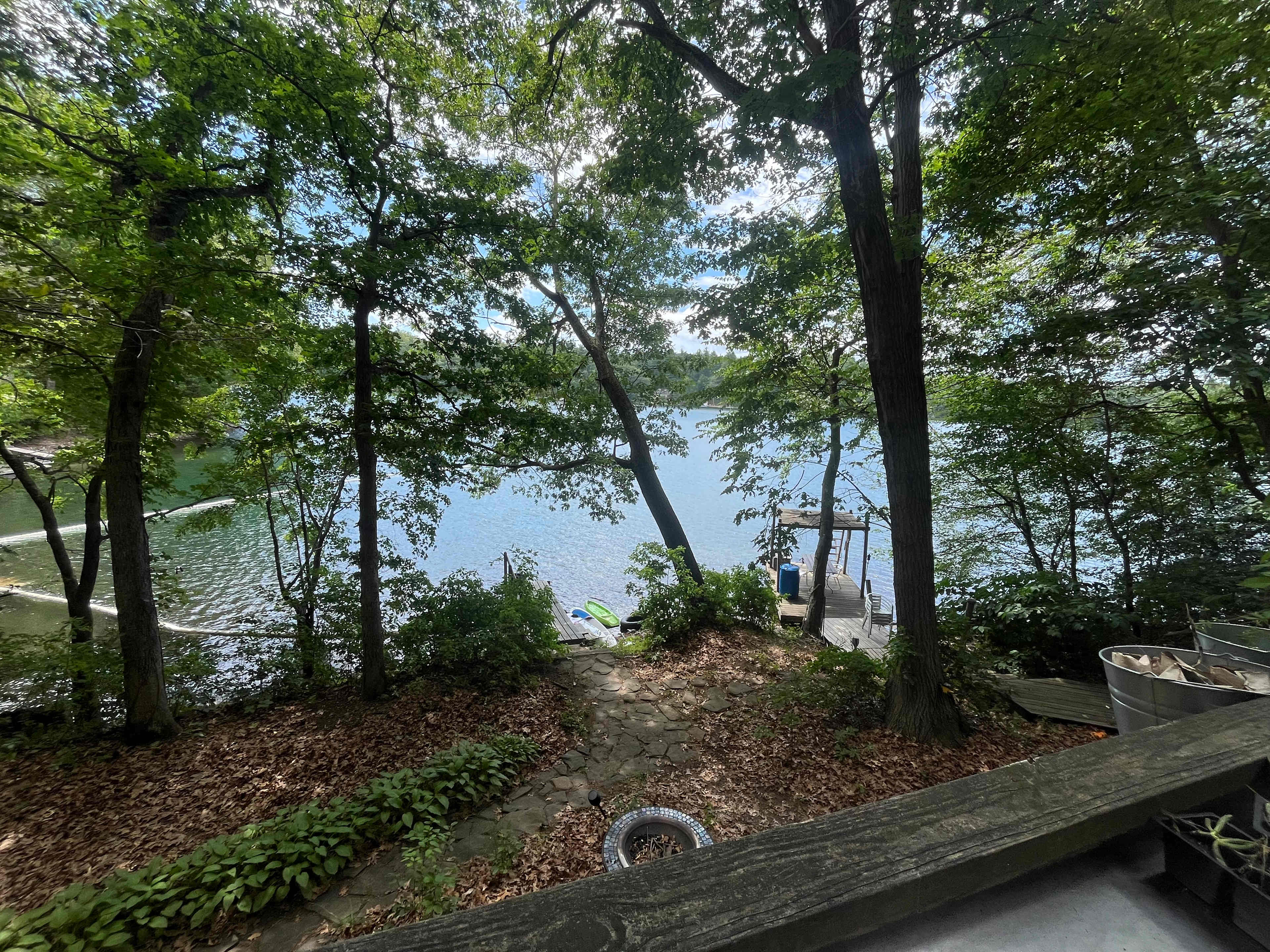 Ponderings at White Pond