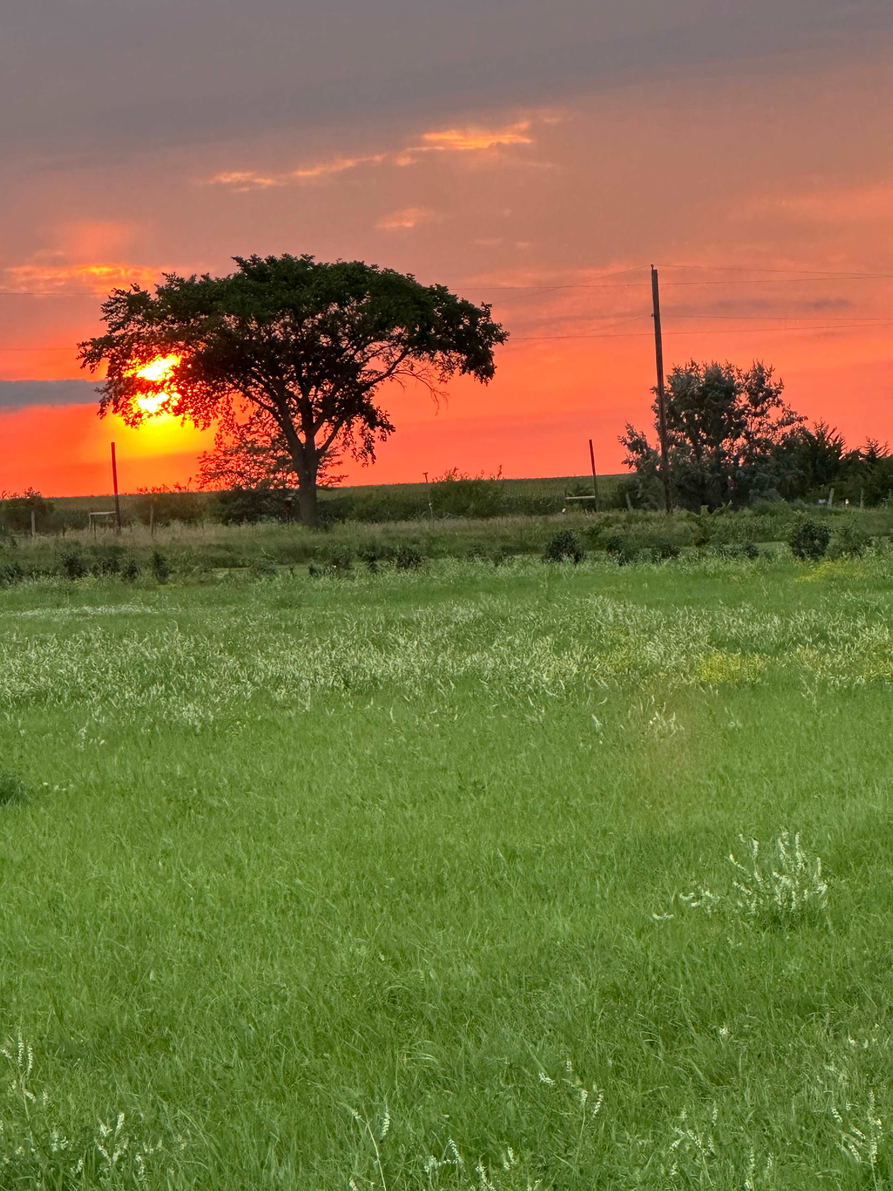 Uncle B's Produce Farm