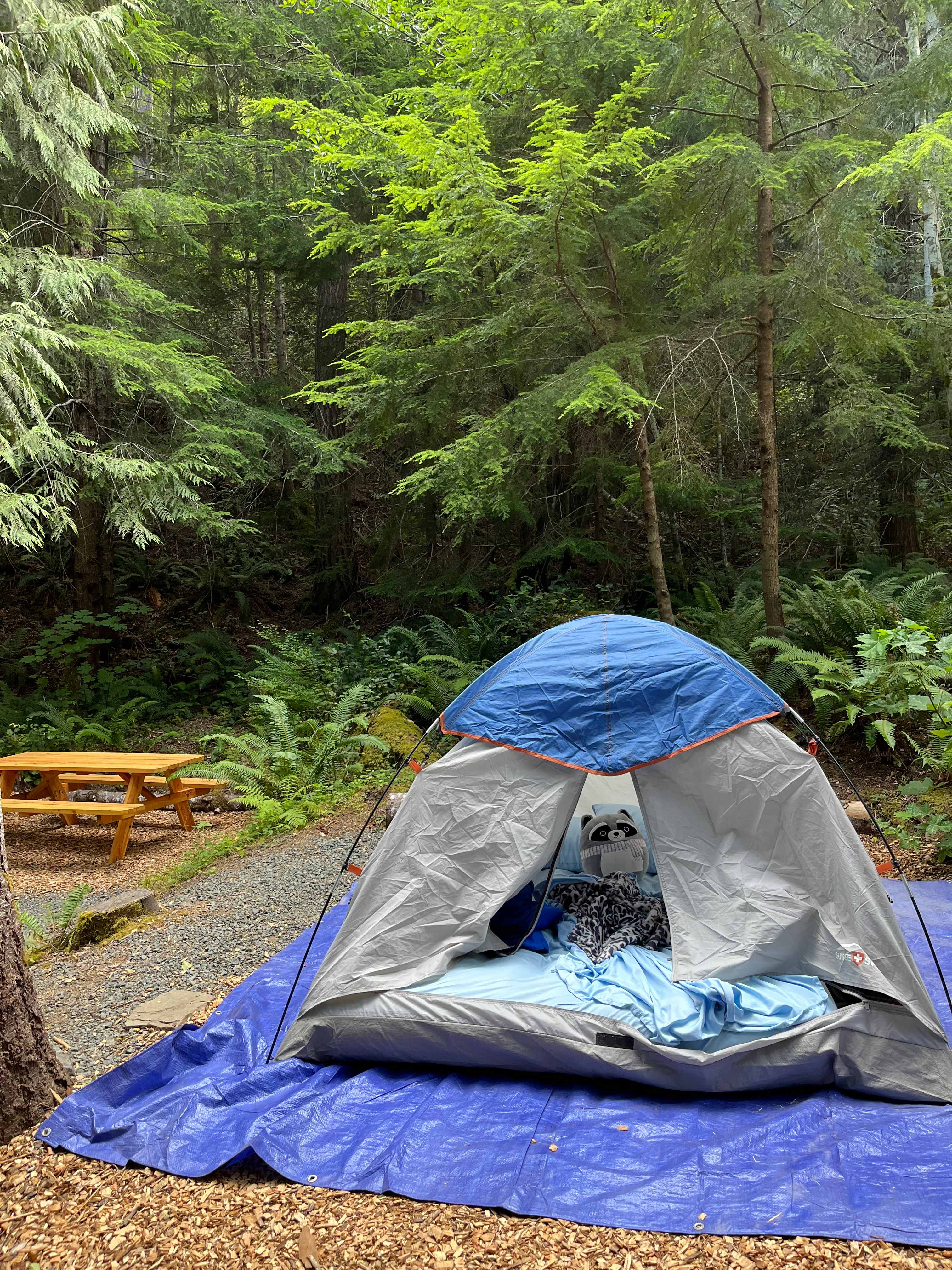 Wandering Joy Campground