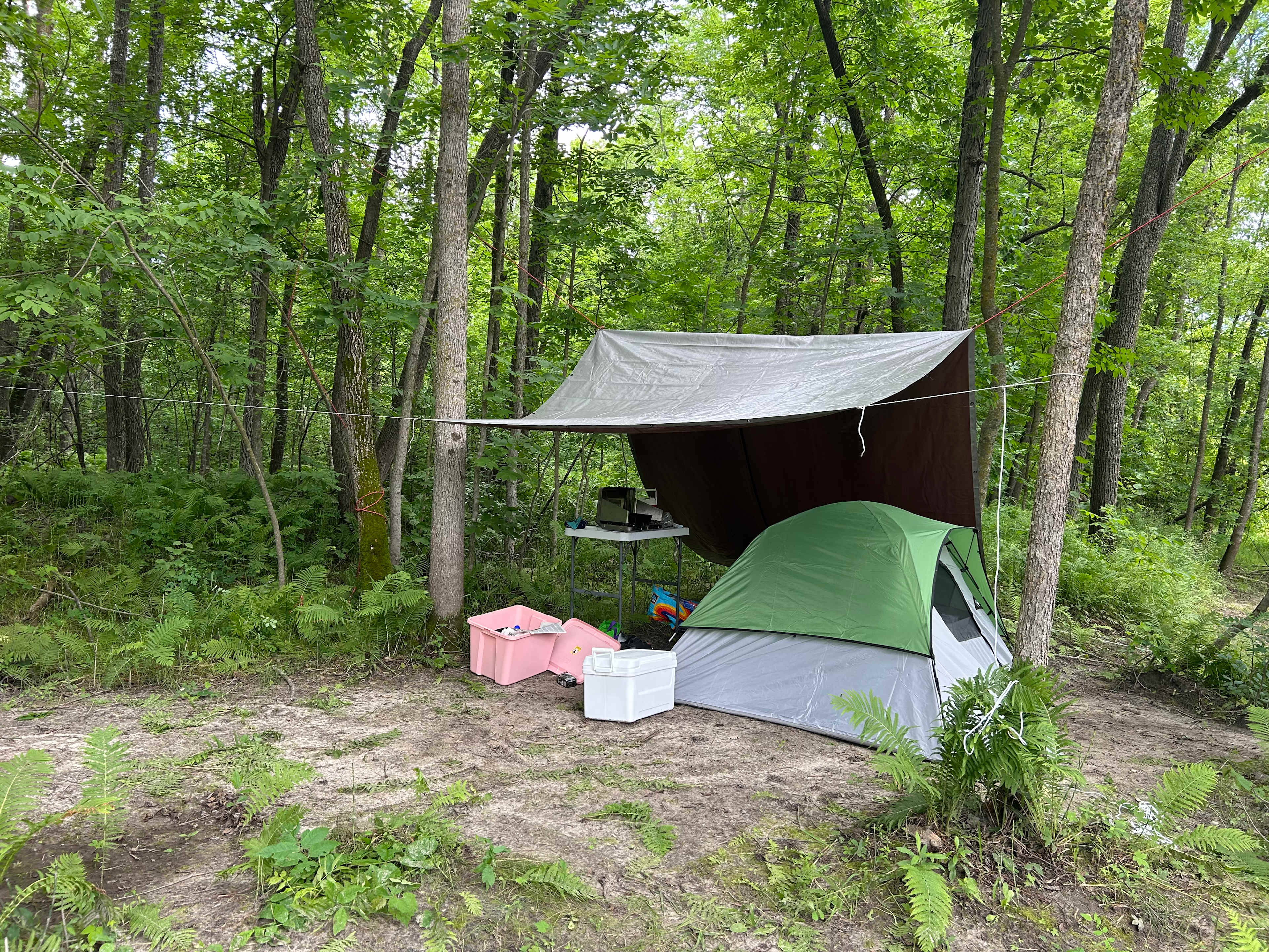 Cuyuna/Mississippi River Land