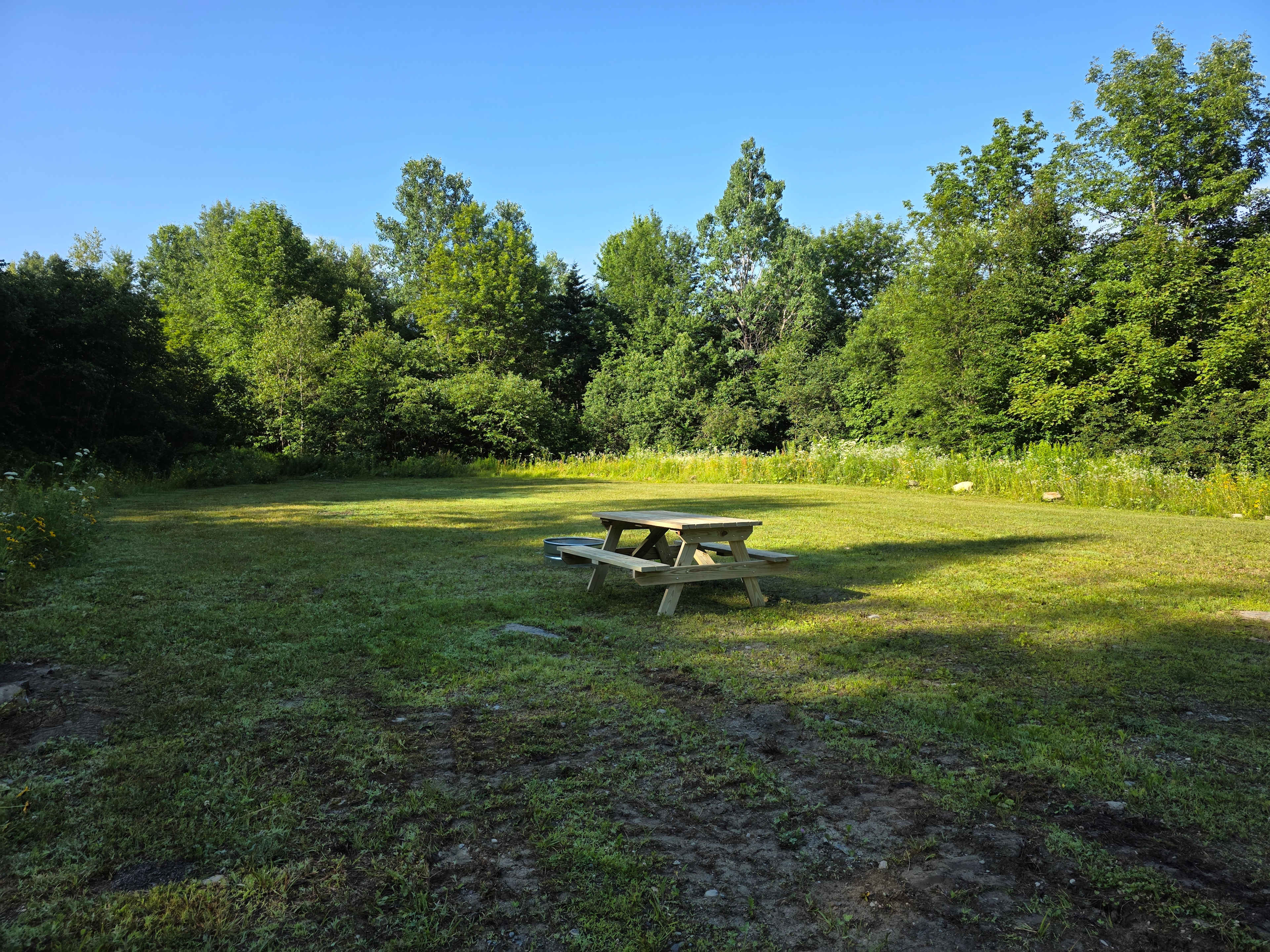 Golden Maple Farm - Camping