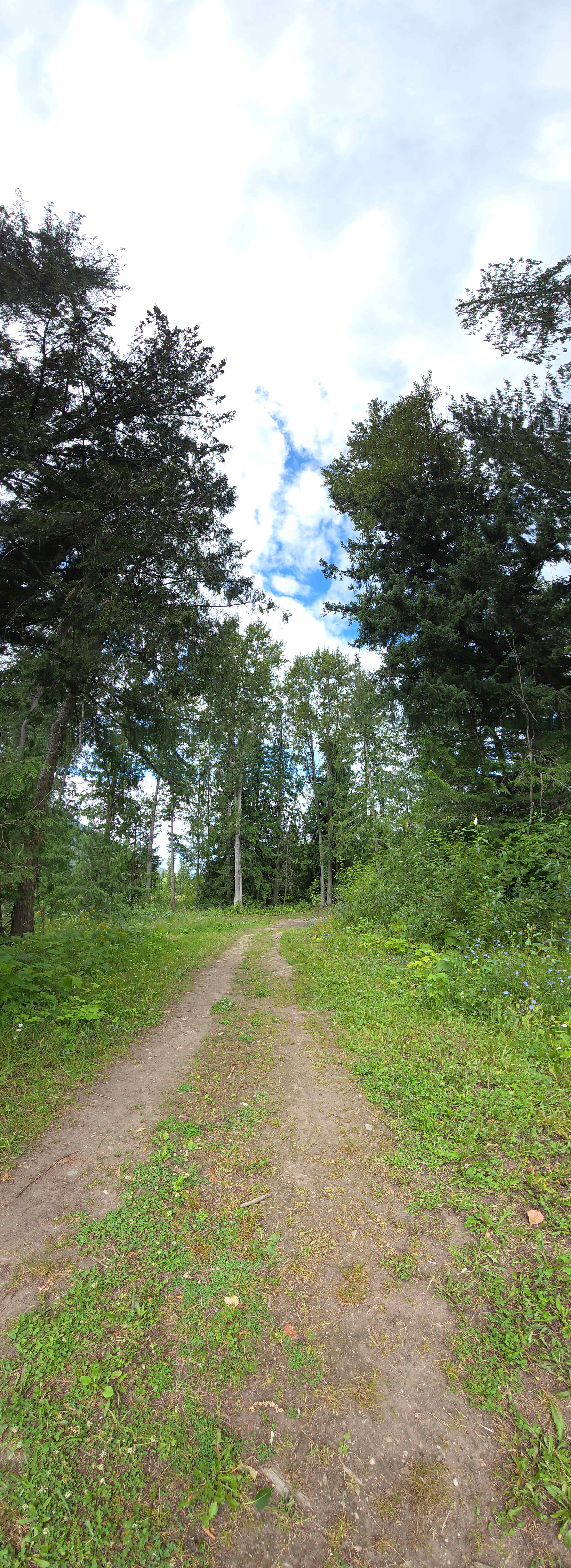 Olich Creek Farm